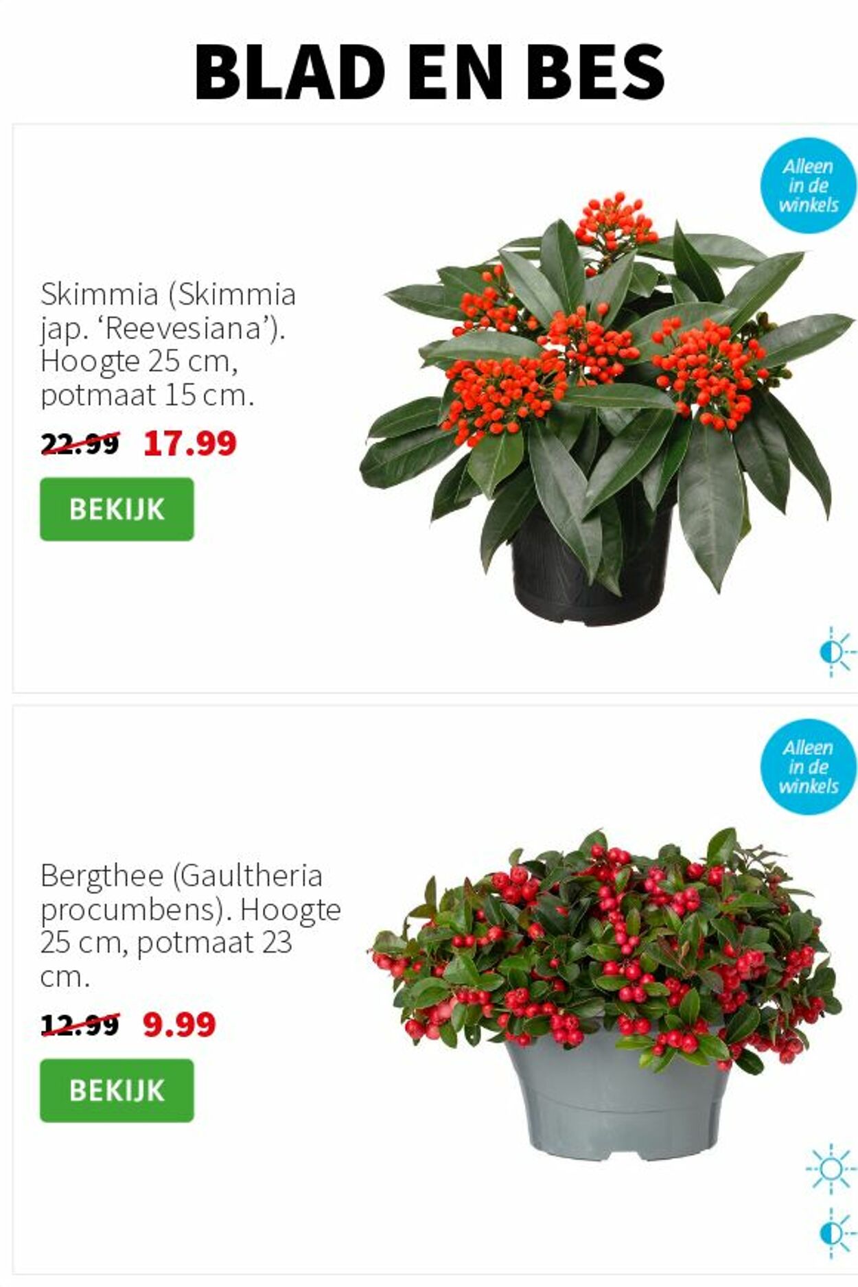 Folder Intratuin 10.11.2025 - 16.11.2025
