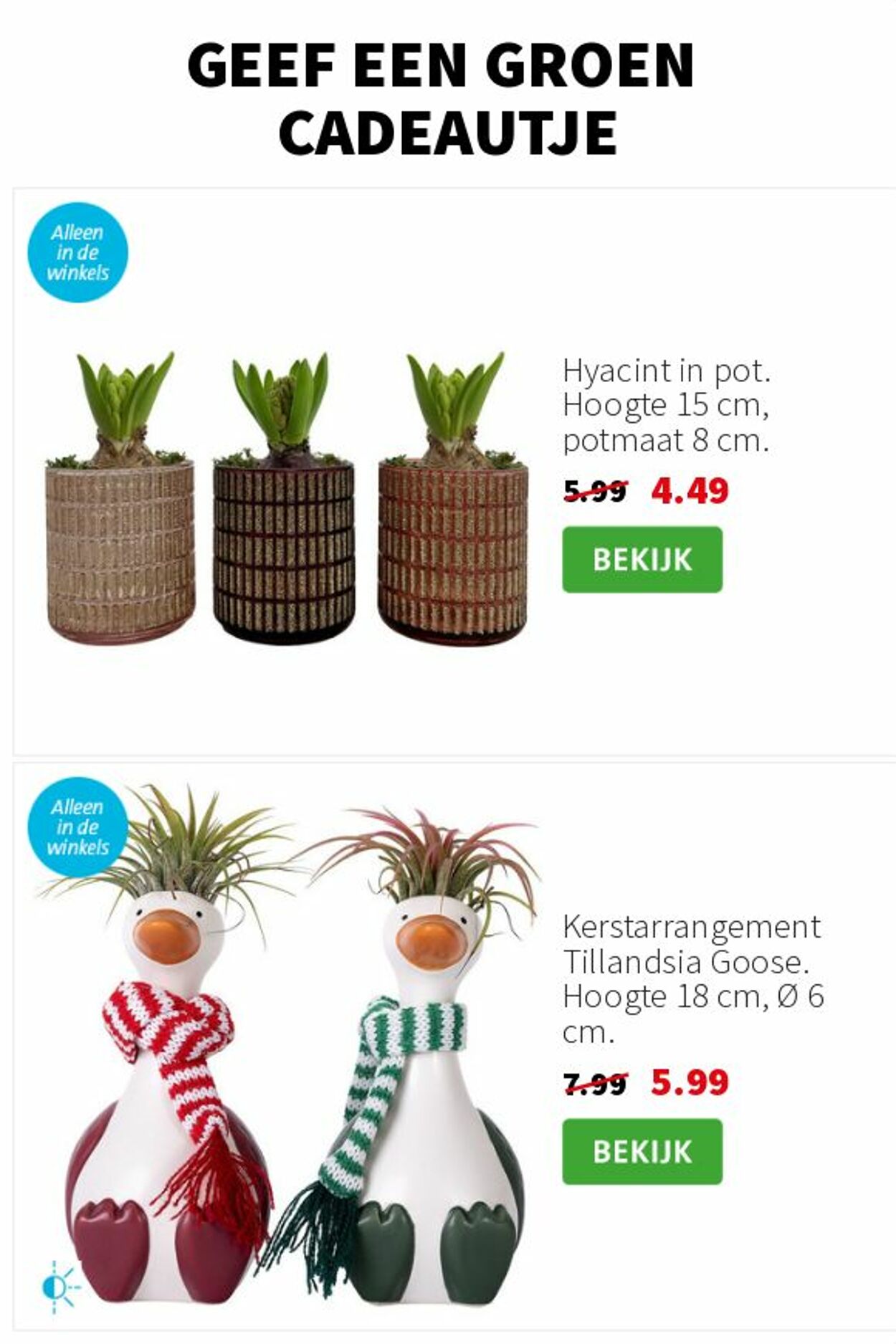 Folder Intratuin 15.12.2025 - 21.12.2025