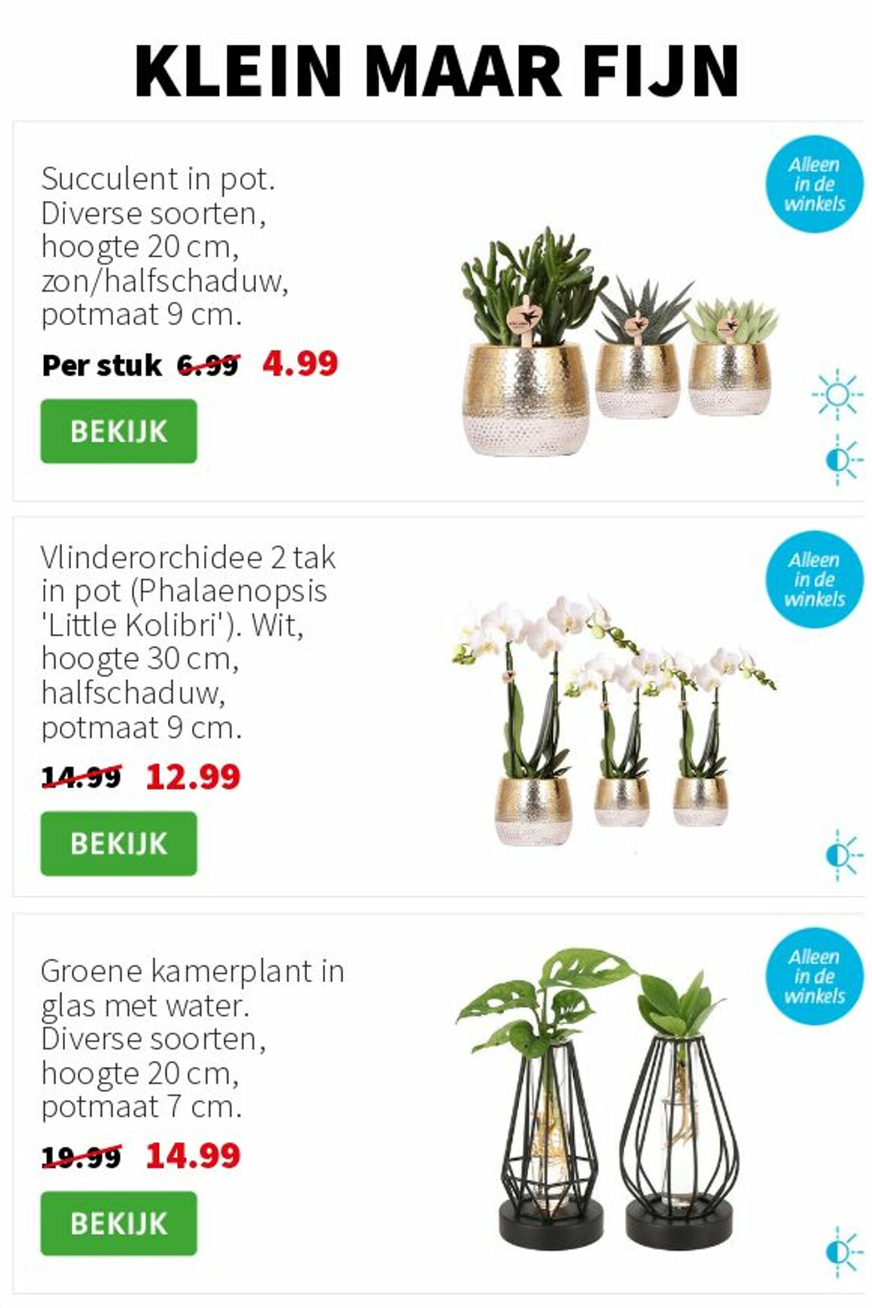 Folder Intratuin 22.12.2025 - 28.12.2025