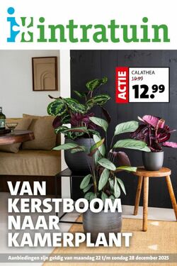 Folder Intratuin 10.05.2026 - 18.05.2026