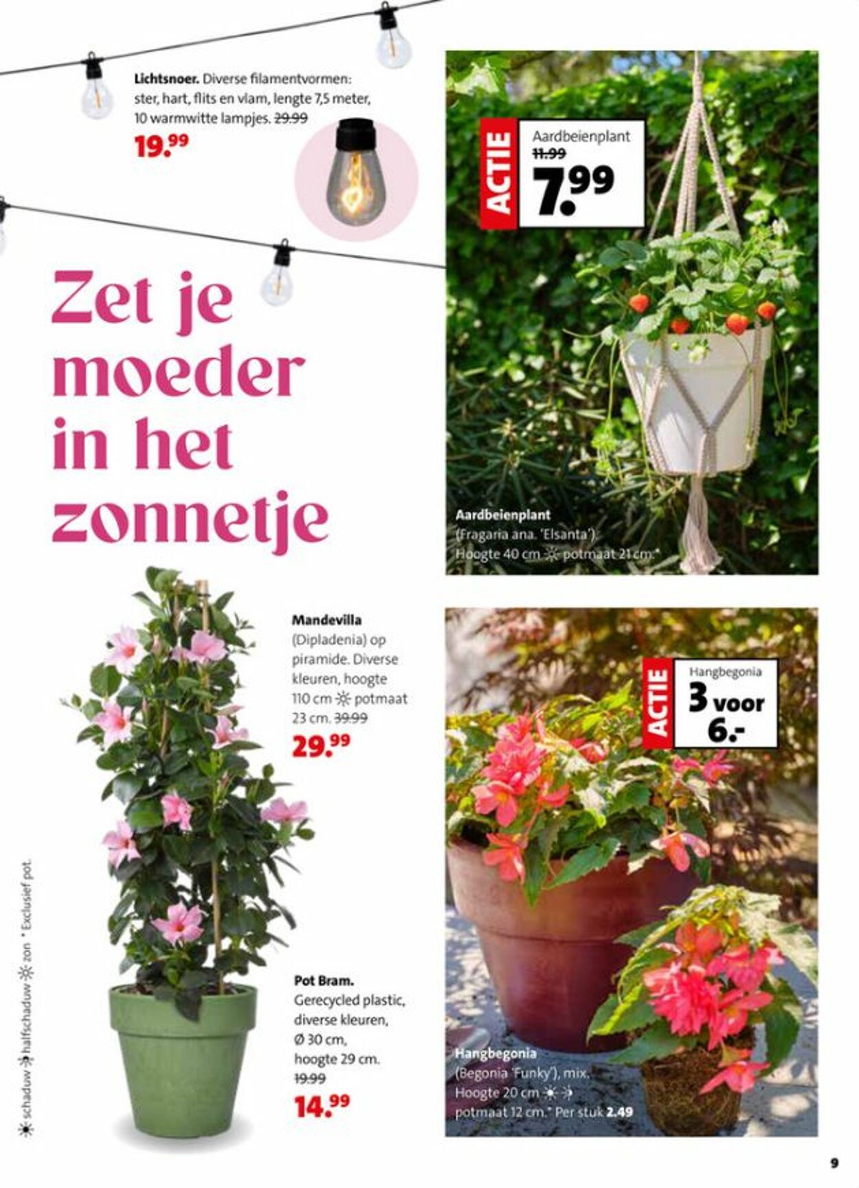 Folder Intratuin 04.05.2026 - 12.05.2026