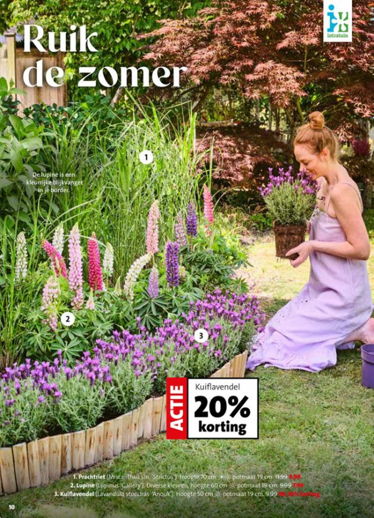 Folder Intratuin 04.05.2026 - 12.05.2026