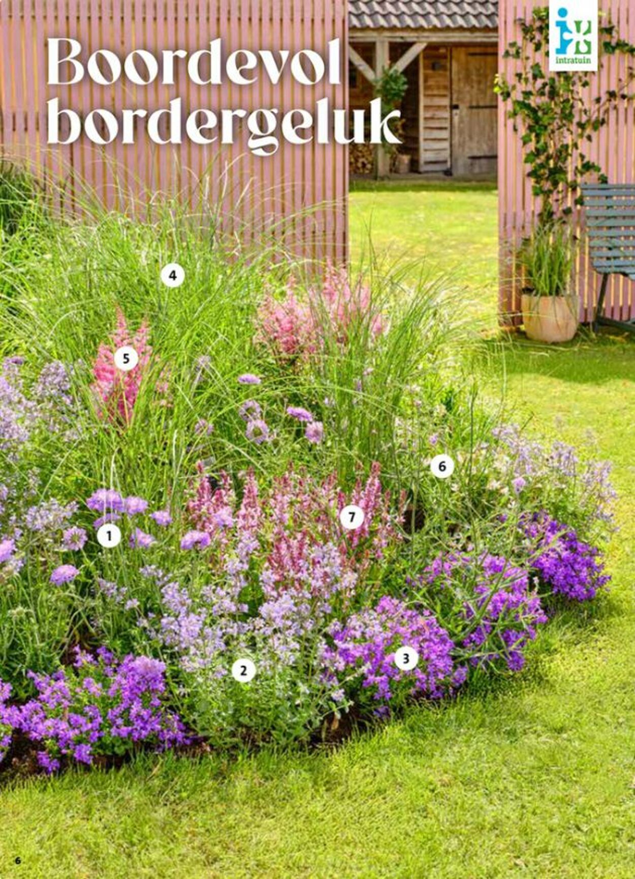 Folder Intratuin 17.05.2026 - 25.05.2026
