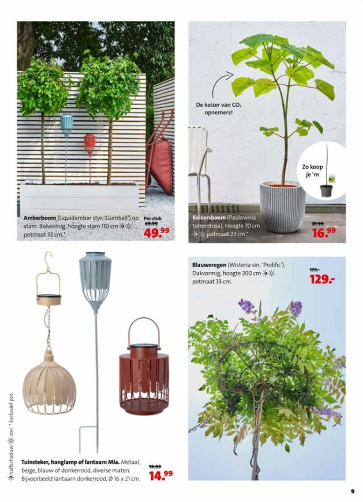 Folder Intratuin 17.05.2026 - 25.05.2026