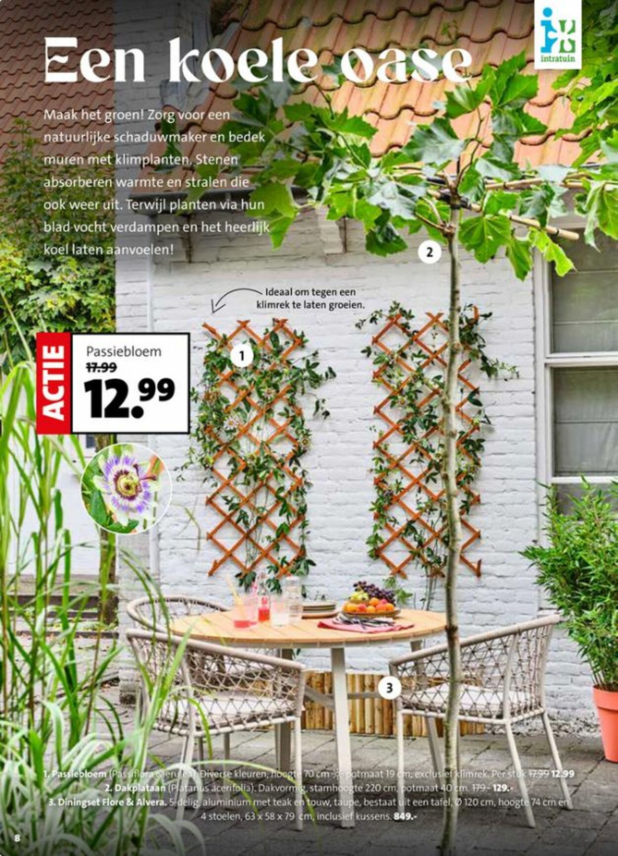 Folder Intratuin 17.05.2026 - 25.05.2026