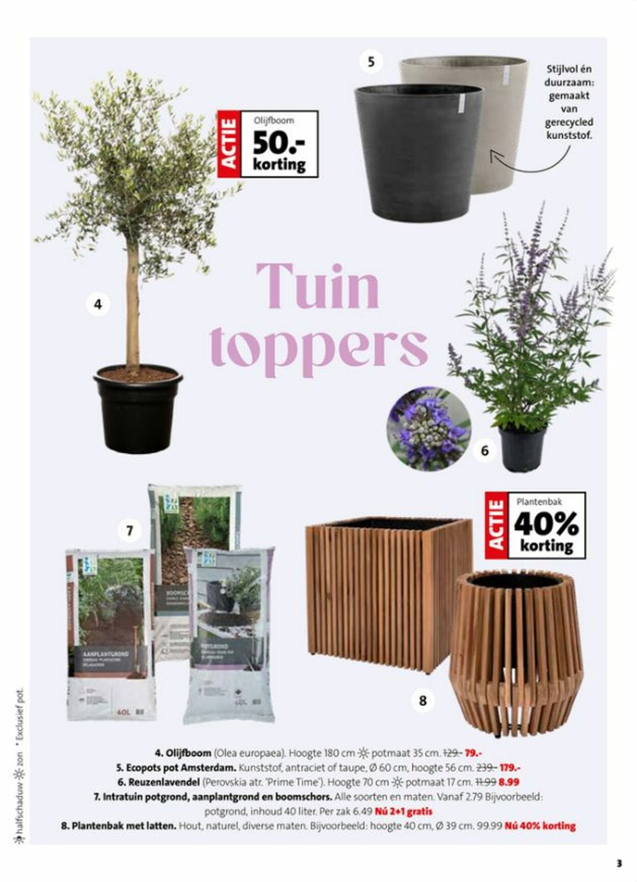 Folder Intratuin 08.06.2026 - 16.06.2026
