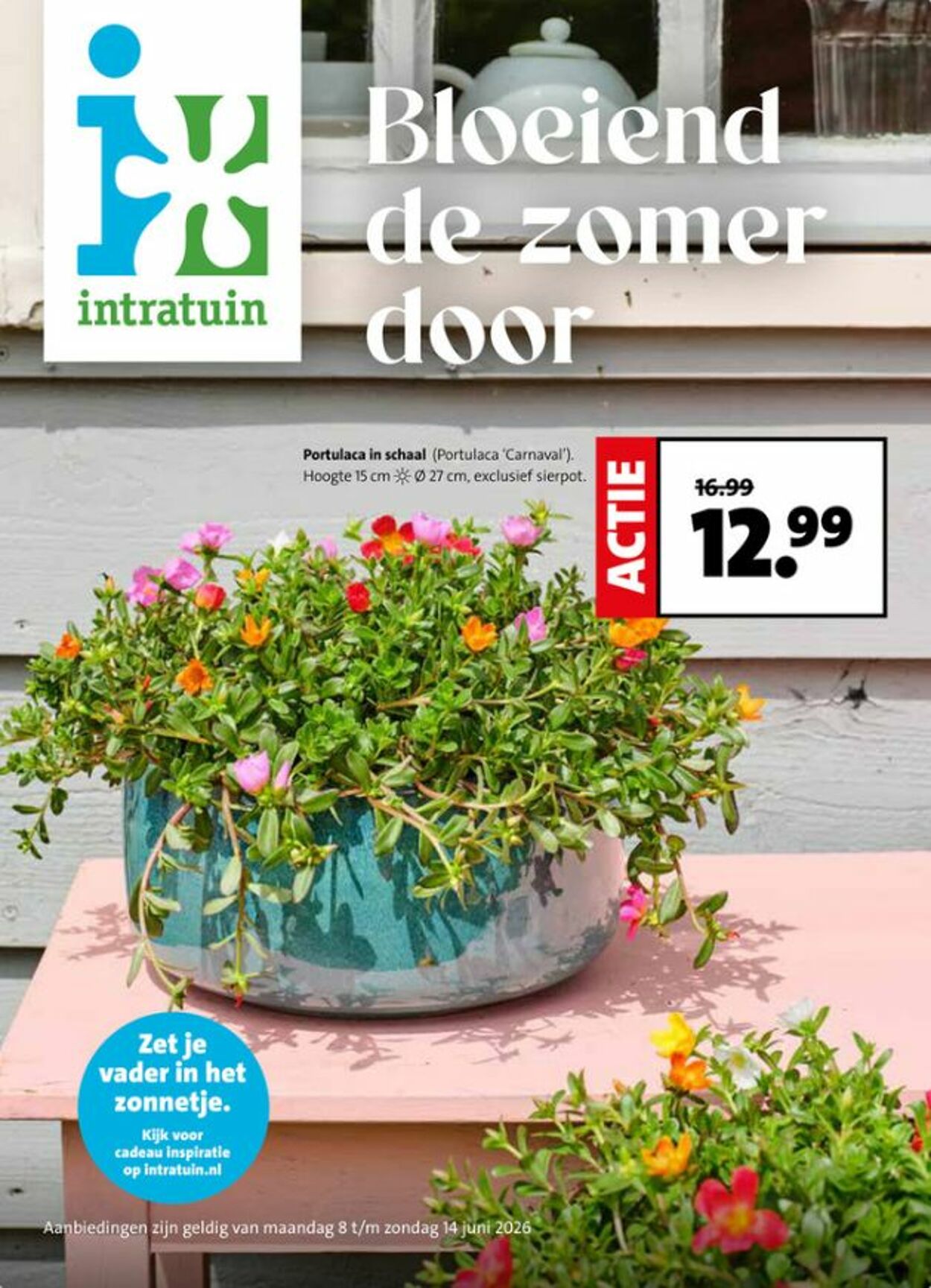 Folder Intratuin 08.06.2026 - 16.06.2026