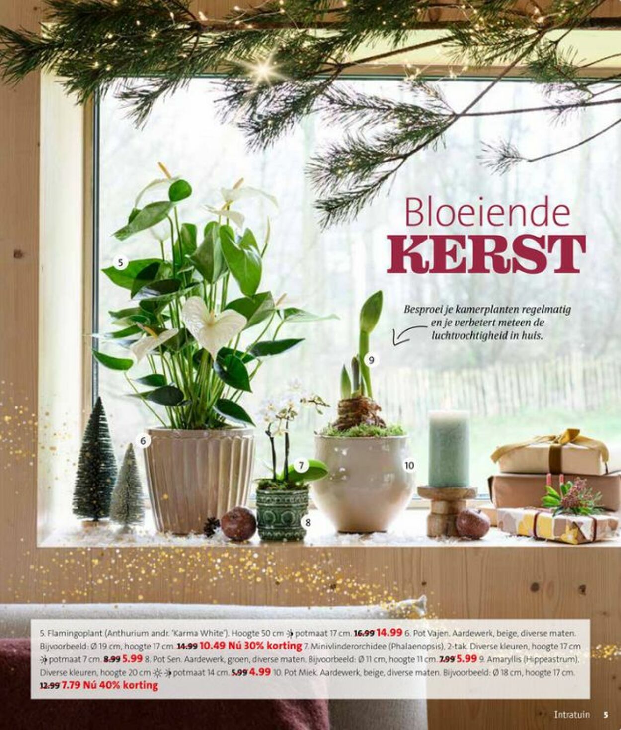 Folder Intratuin 17.11.2025 - 23.11.2025