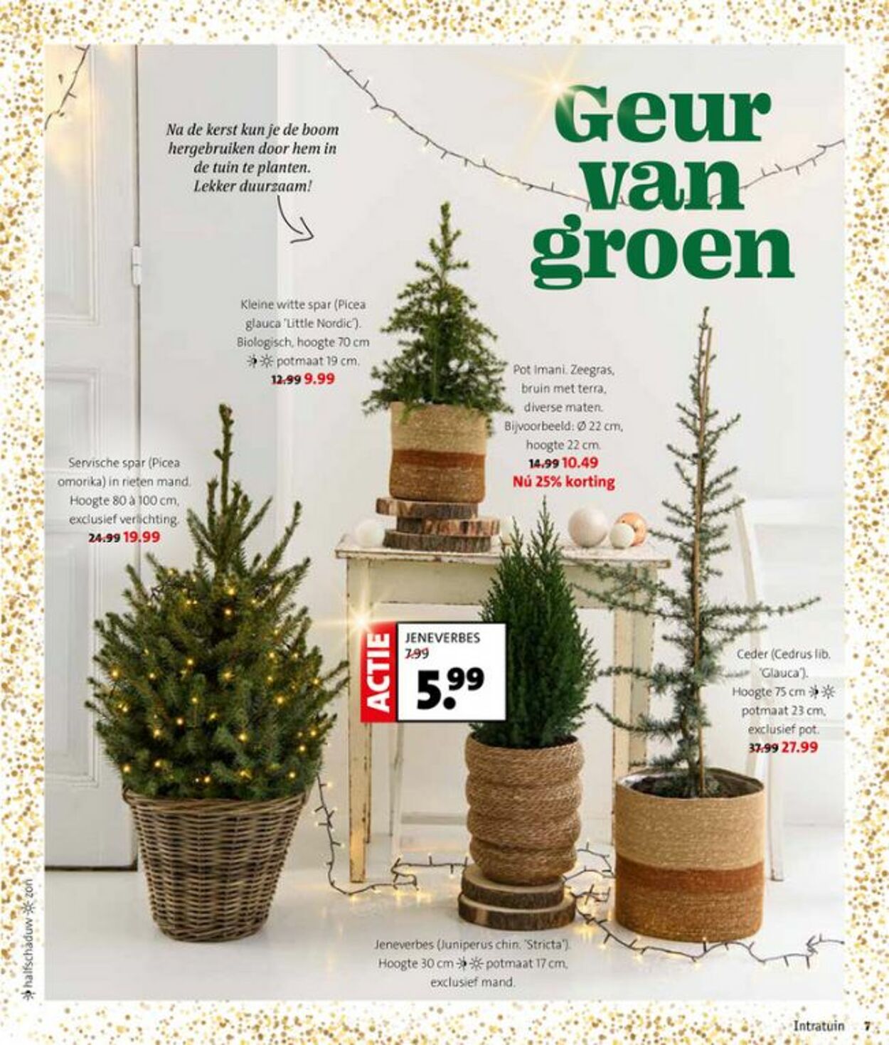 Folder Intratuin 24.11.2025 - 30.11.2025