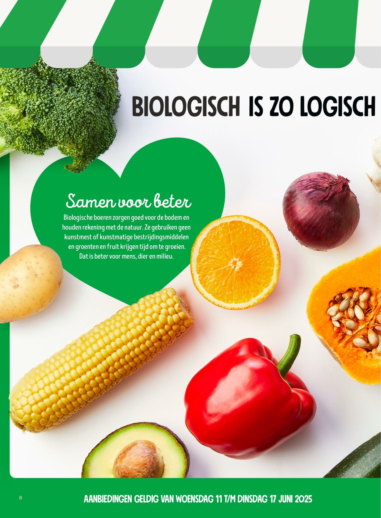 Folder Jumbo 11.06.2025 - 17.06.2025