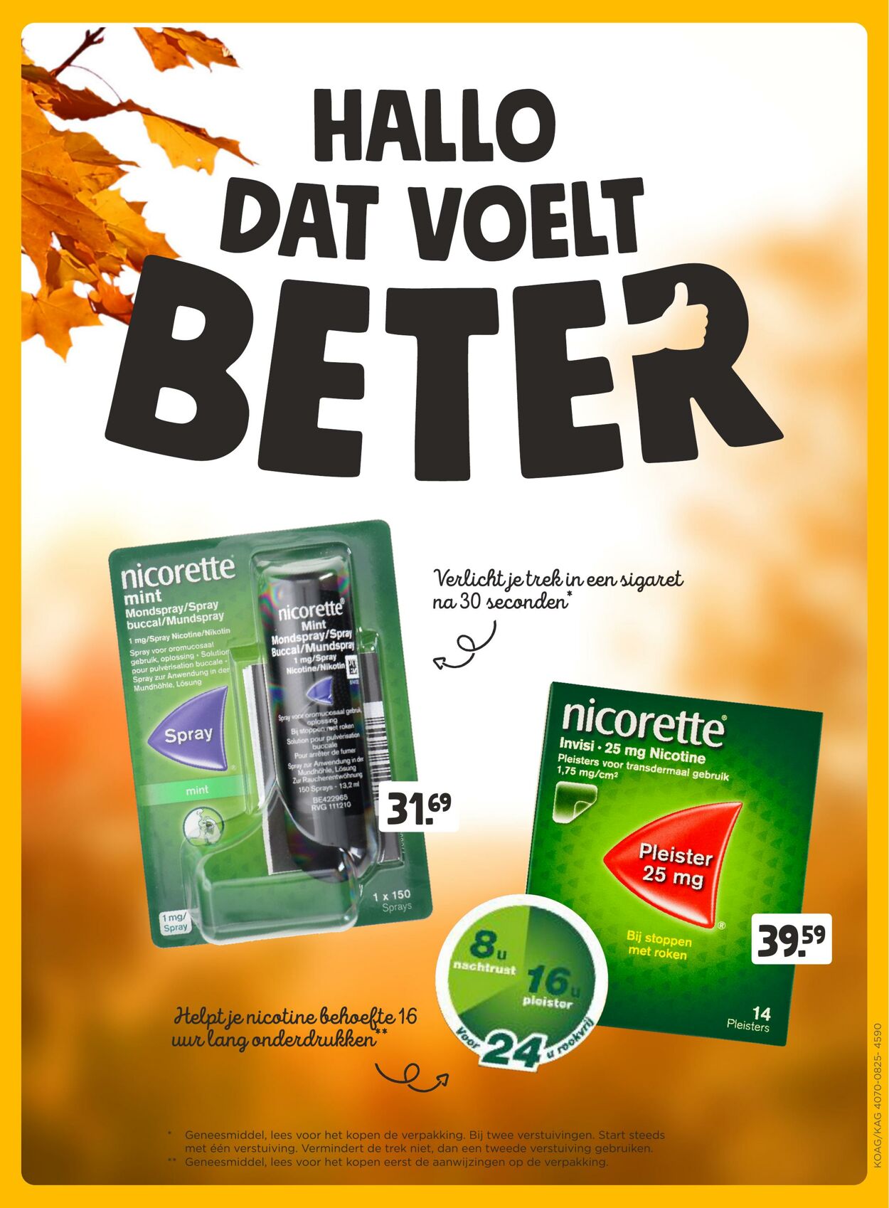 Folder Jumbo 17.09.2025 - 23.09.2025
