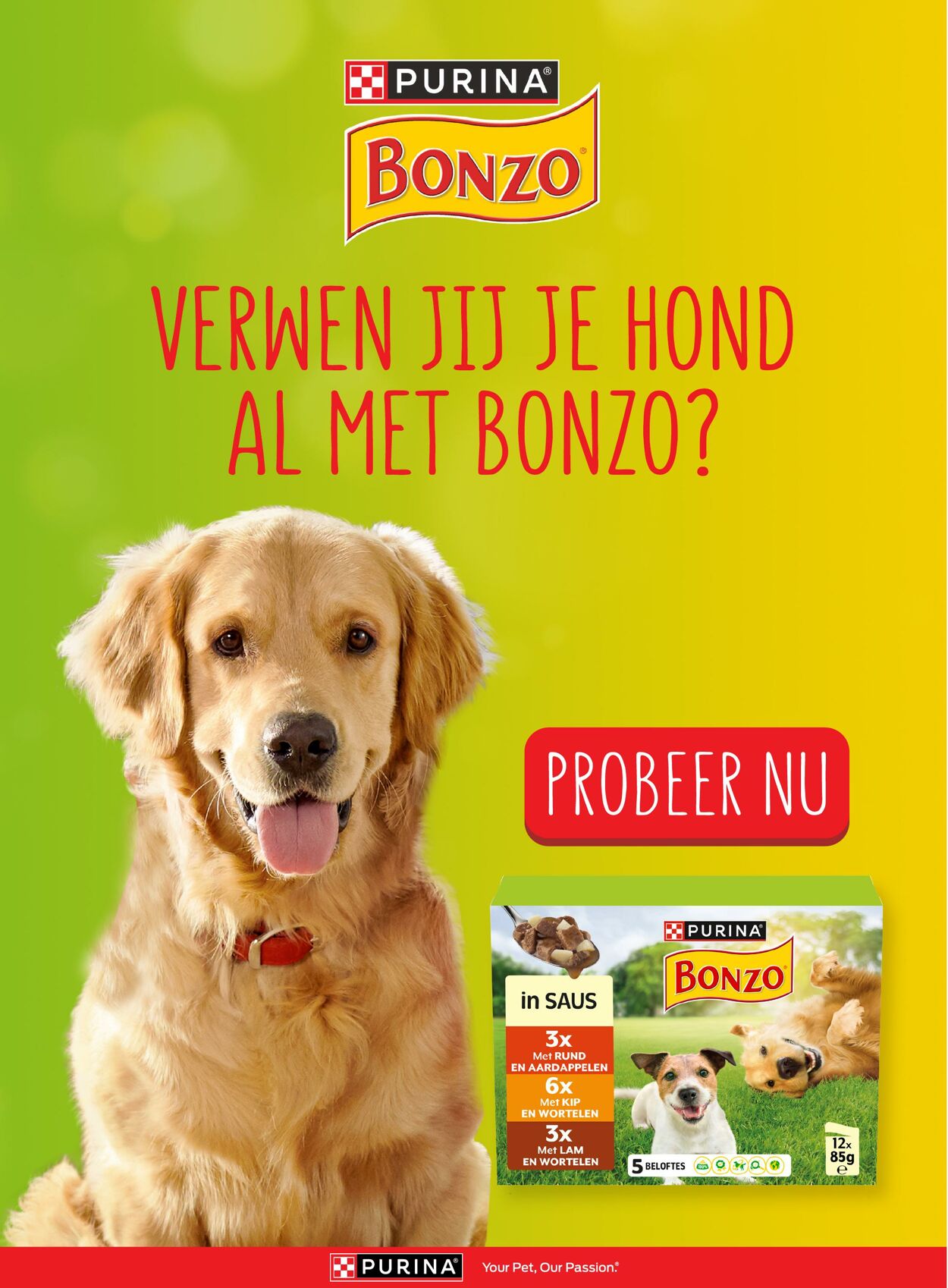 Folder Jumbo 15.10.2025 - 21.10.2025