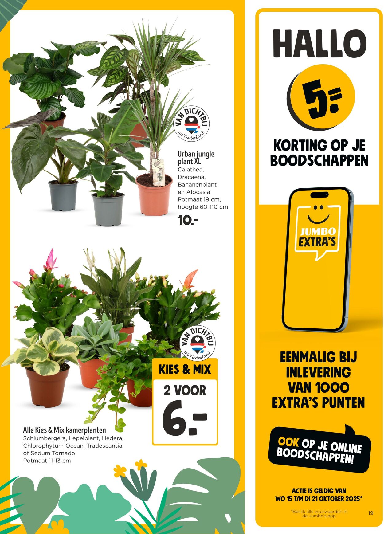 Folder Jumbo 15.10.2025 - 21.10.2025