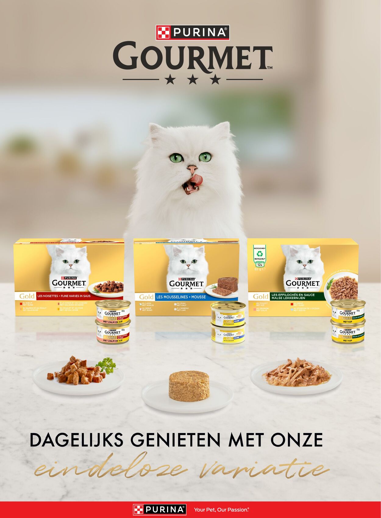 Folder Jumbo 22.10.2025 - 28.10.2025
