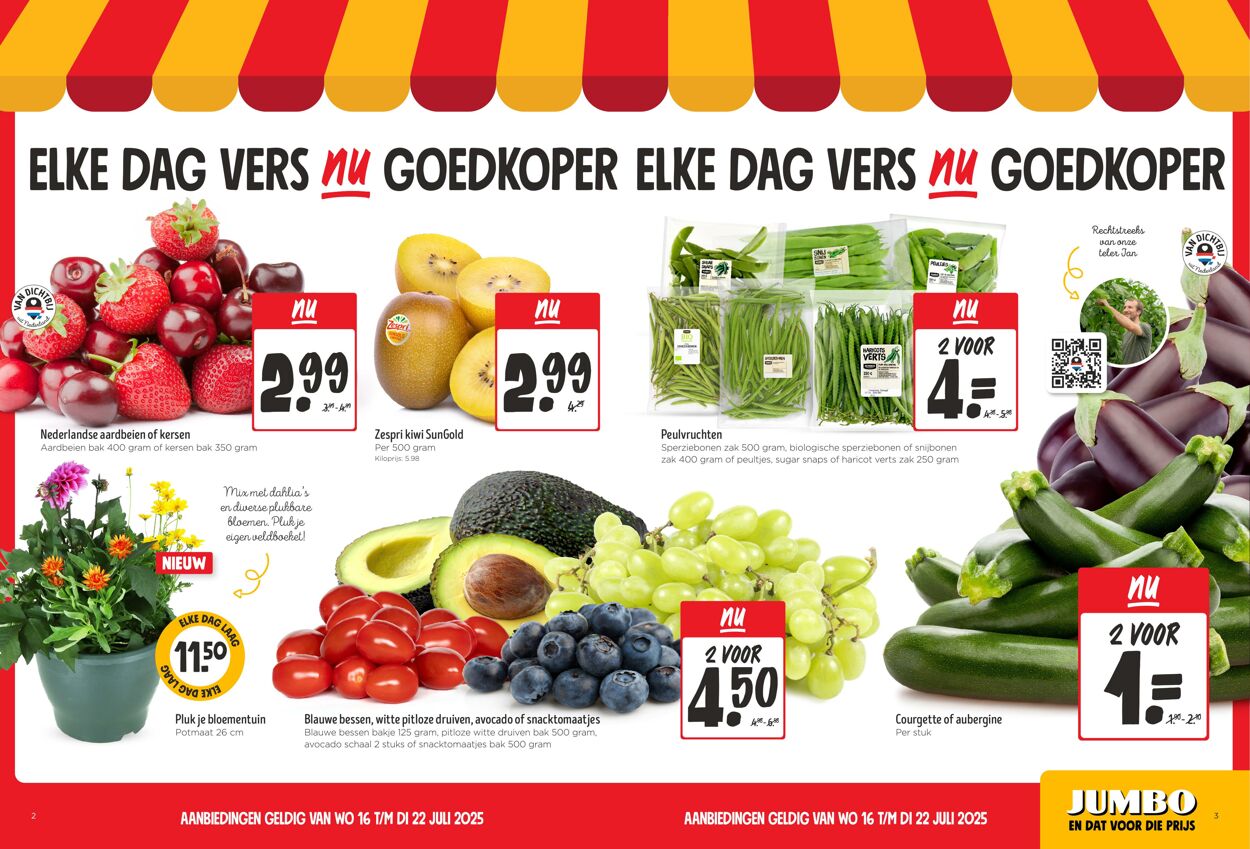 Folder Jumbo 16.07.2025 - 22.07.2025
