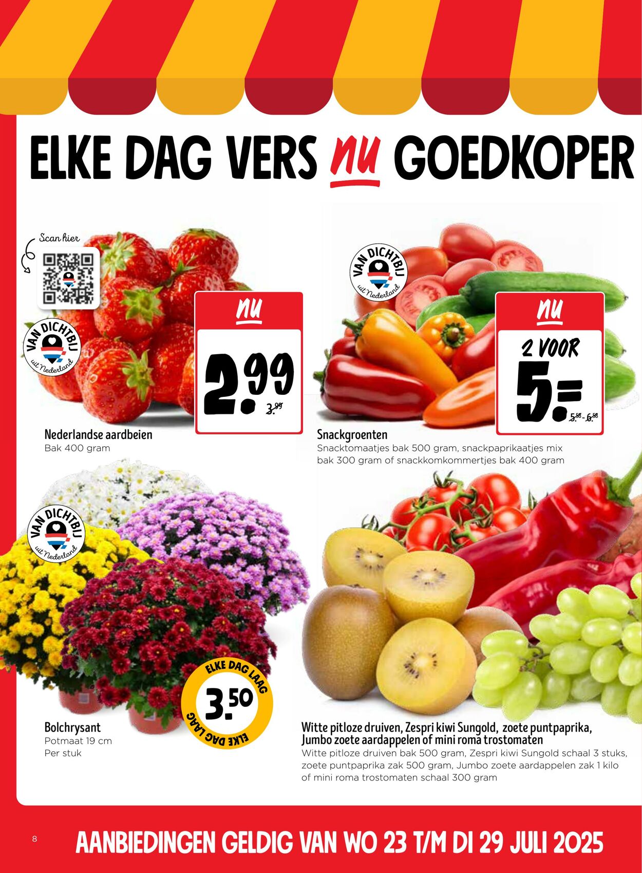 Folder Jumbo 23.07.2025 - 29.07.2025