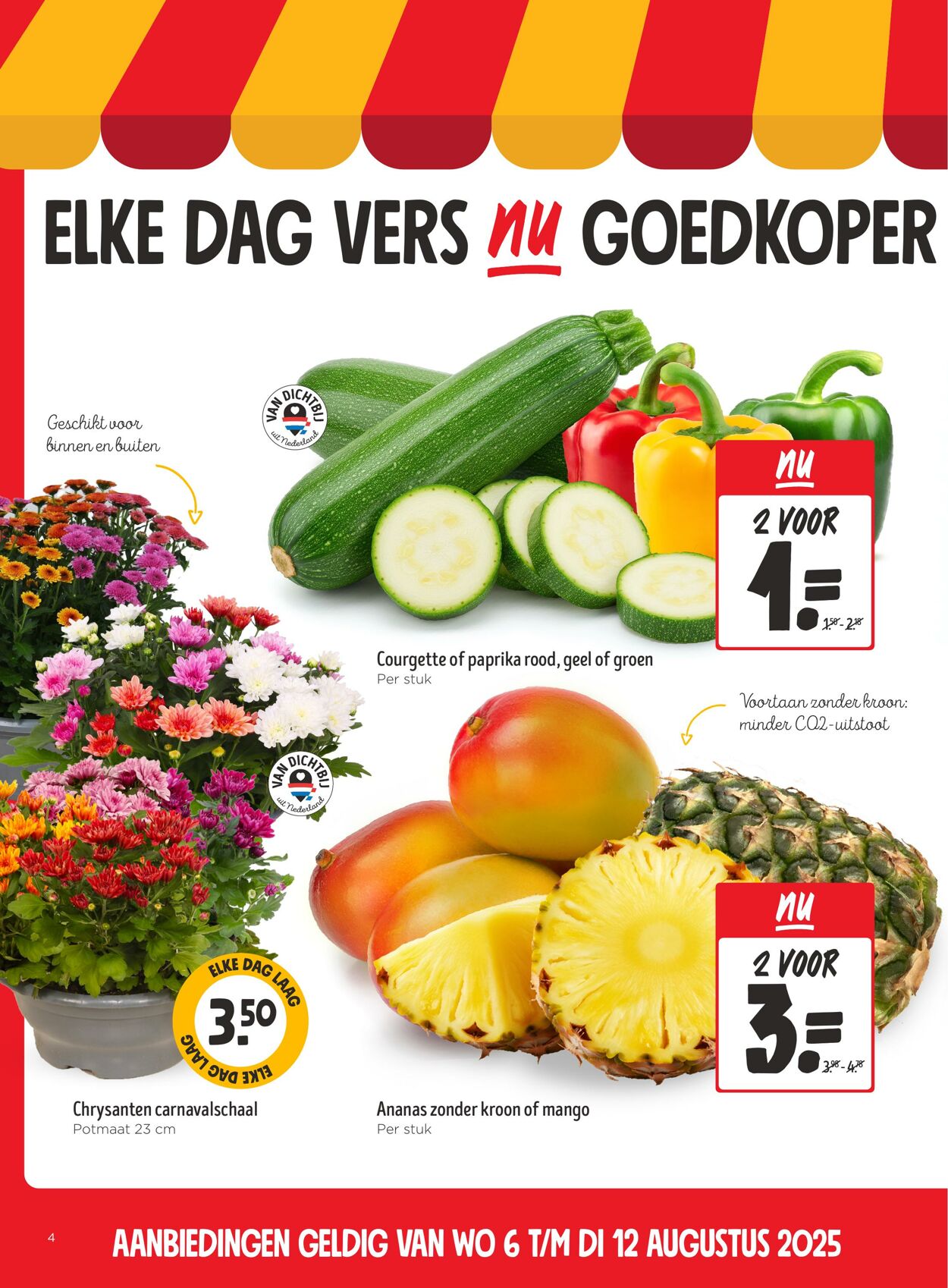 Folder Jumbo 06.08.2025 - 12.08.2025