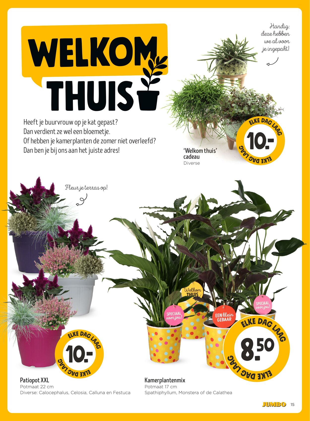 Folder Jumbo 20.08.2025 - 26.08.2025
