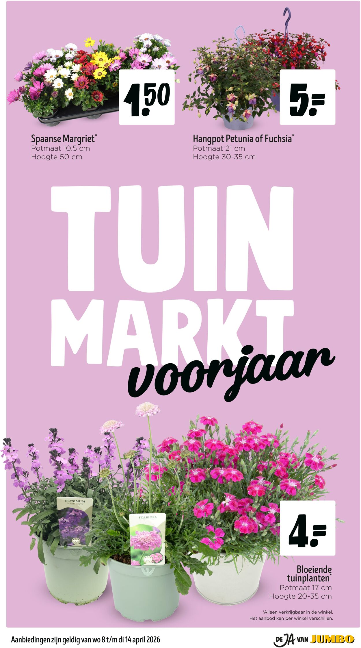 Folder Jumbo 04.04.2026 - 12.04.2026