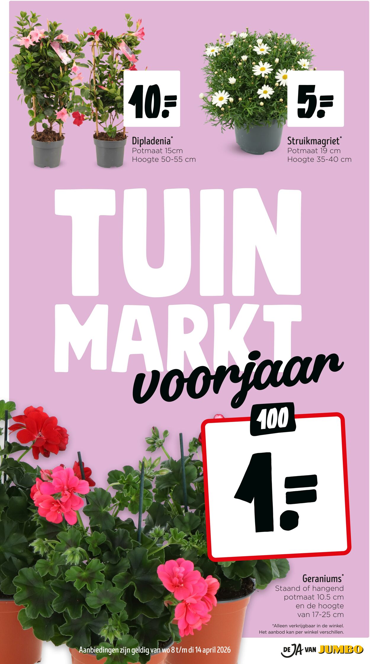 Folder Jumbo 04.04.2026 - 12.04.2026