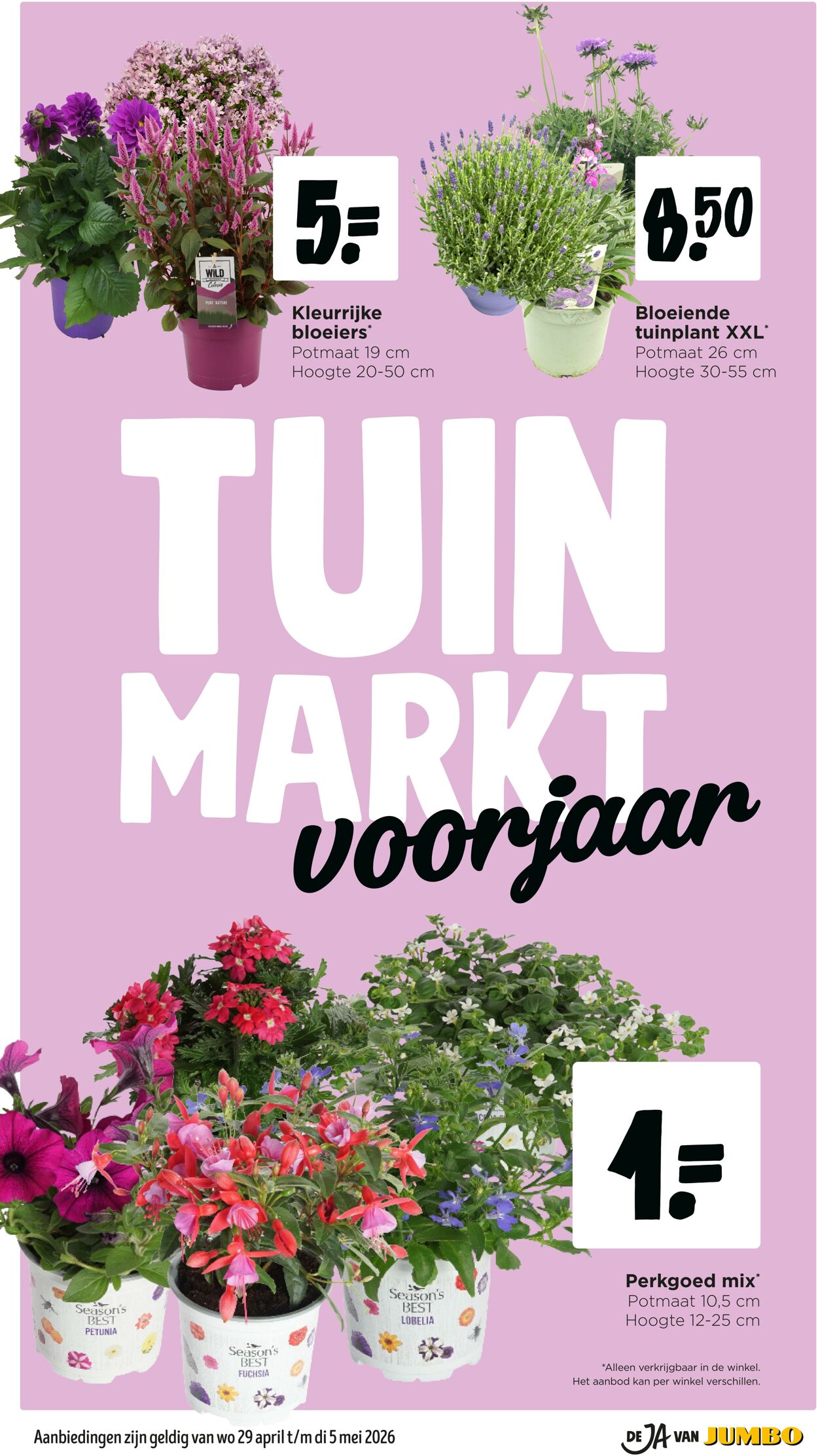 Folder Jumbo 25.04.2026 - 03.05.2026