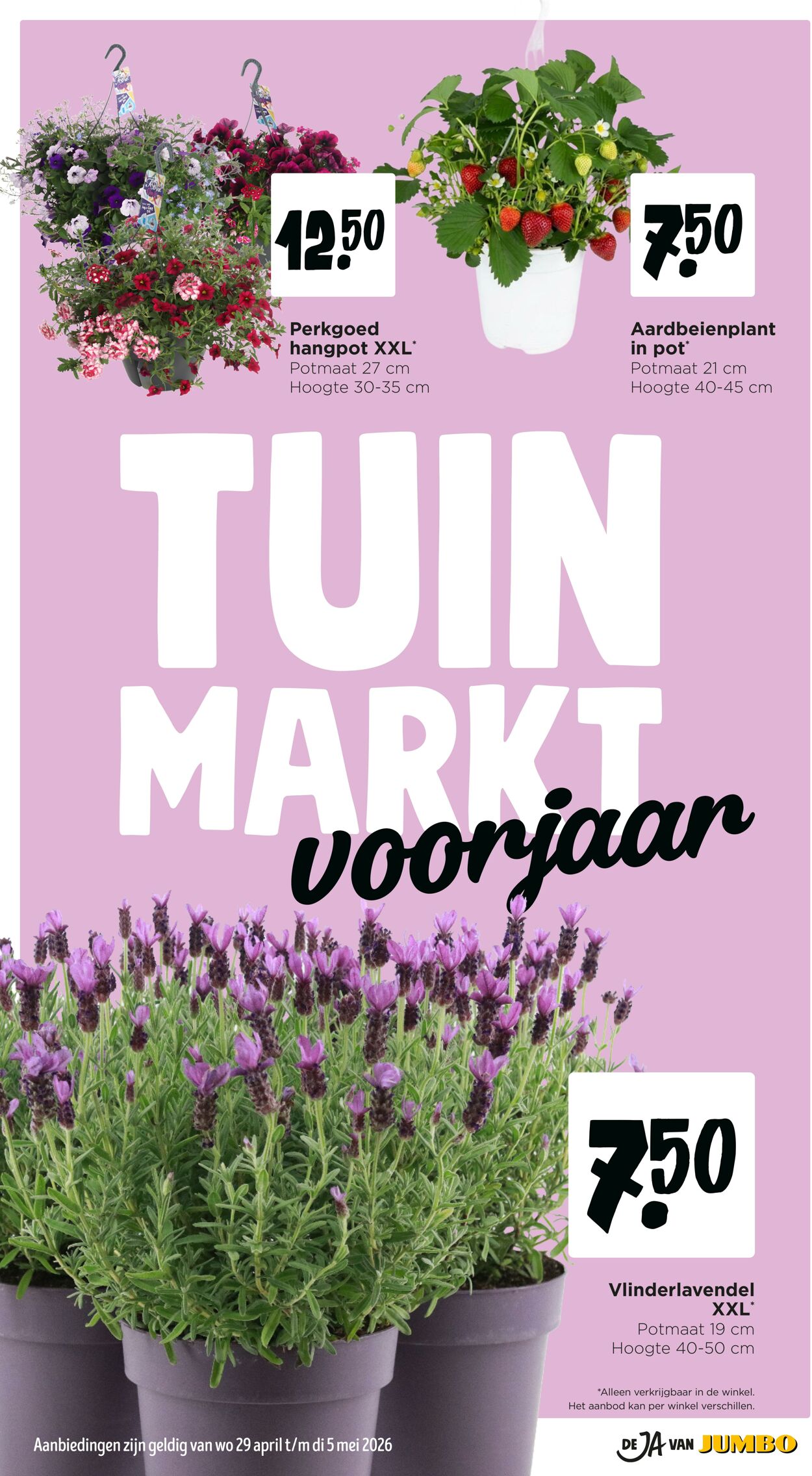 Folder Jumbo 25.04.2026 - 03.05.2026
