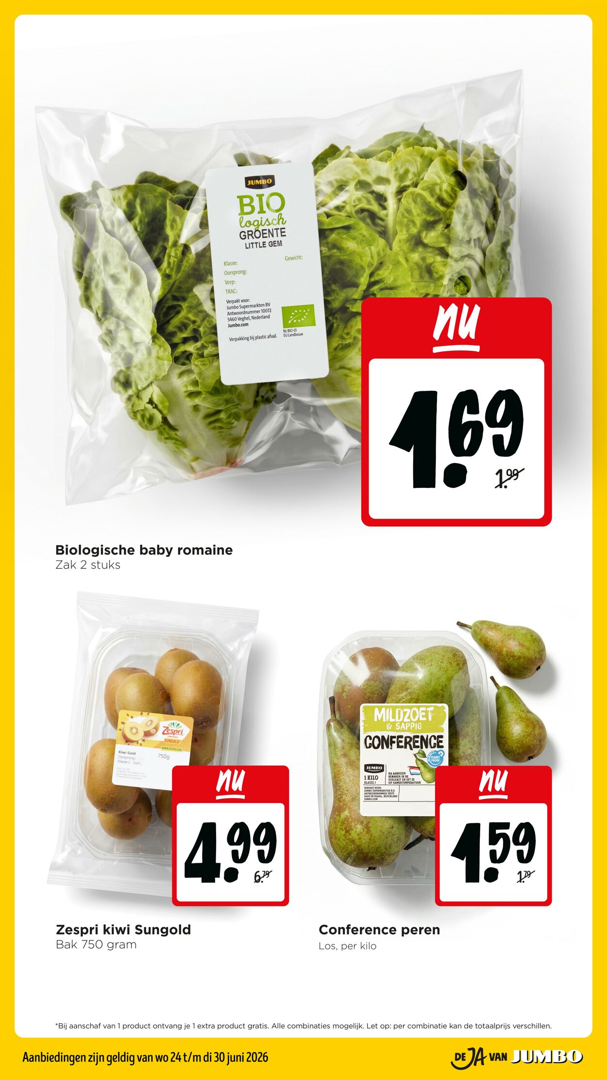 Folder Jumbo 20.06.2026 - 28.06.2026