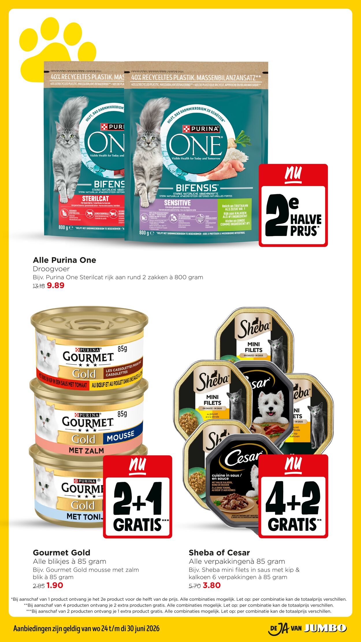 Folder Jumbo 20.06.2026 - 28.06.2026