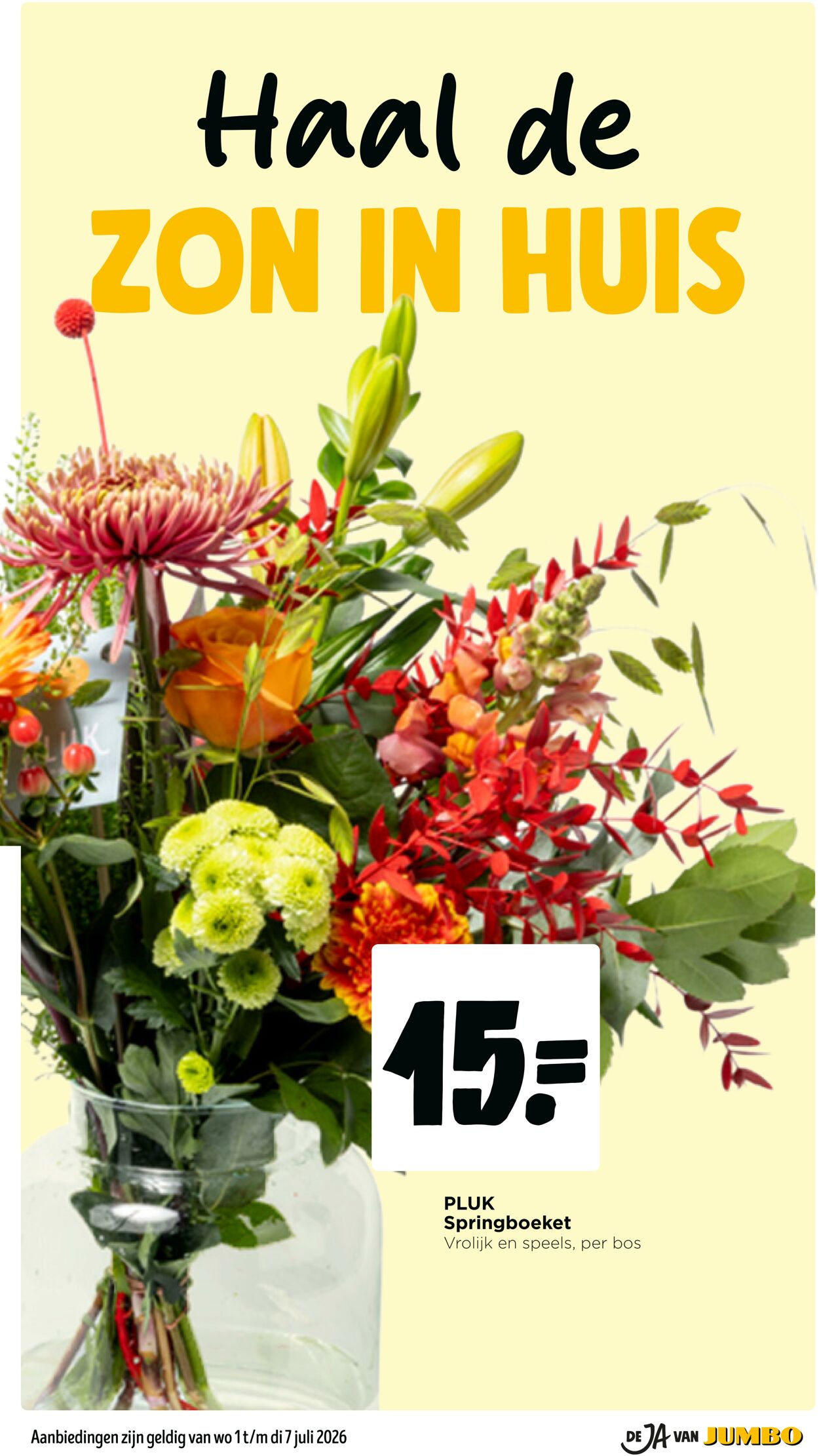 Folder Jumbo 28.06.2026 - 06.07.2026