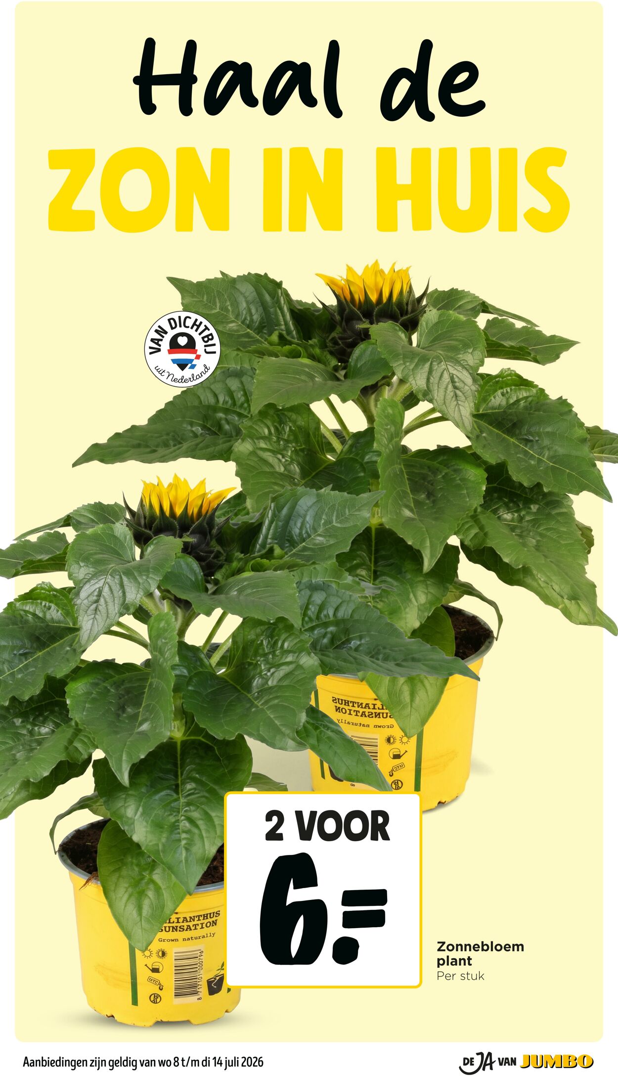 Folder Jumbo 04.07.2026 - 12.07.2026