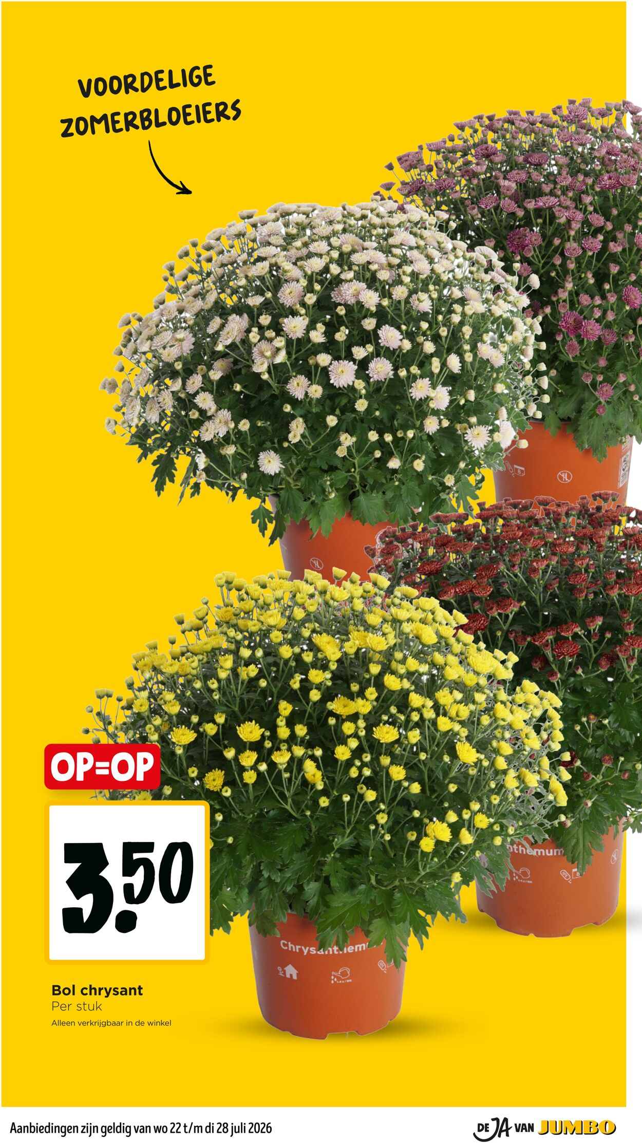 Folder Jumbo 18.07.2026 - 26.07.2026