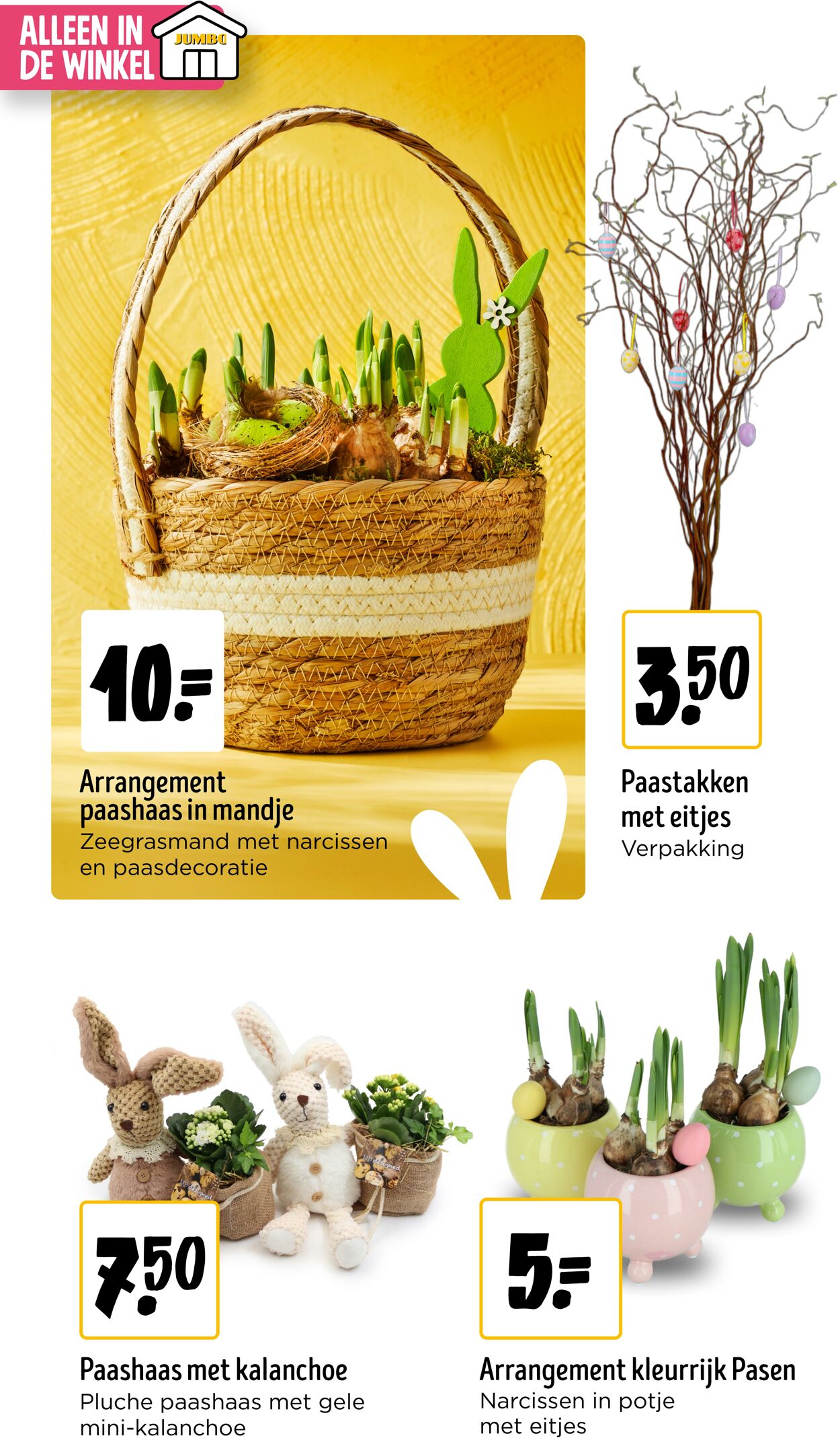 Folder Jumbo 21.03.2026 - 29.03.2026