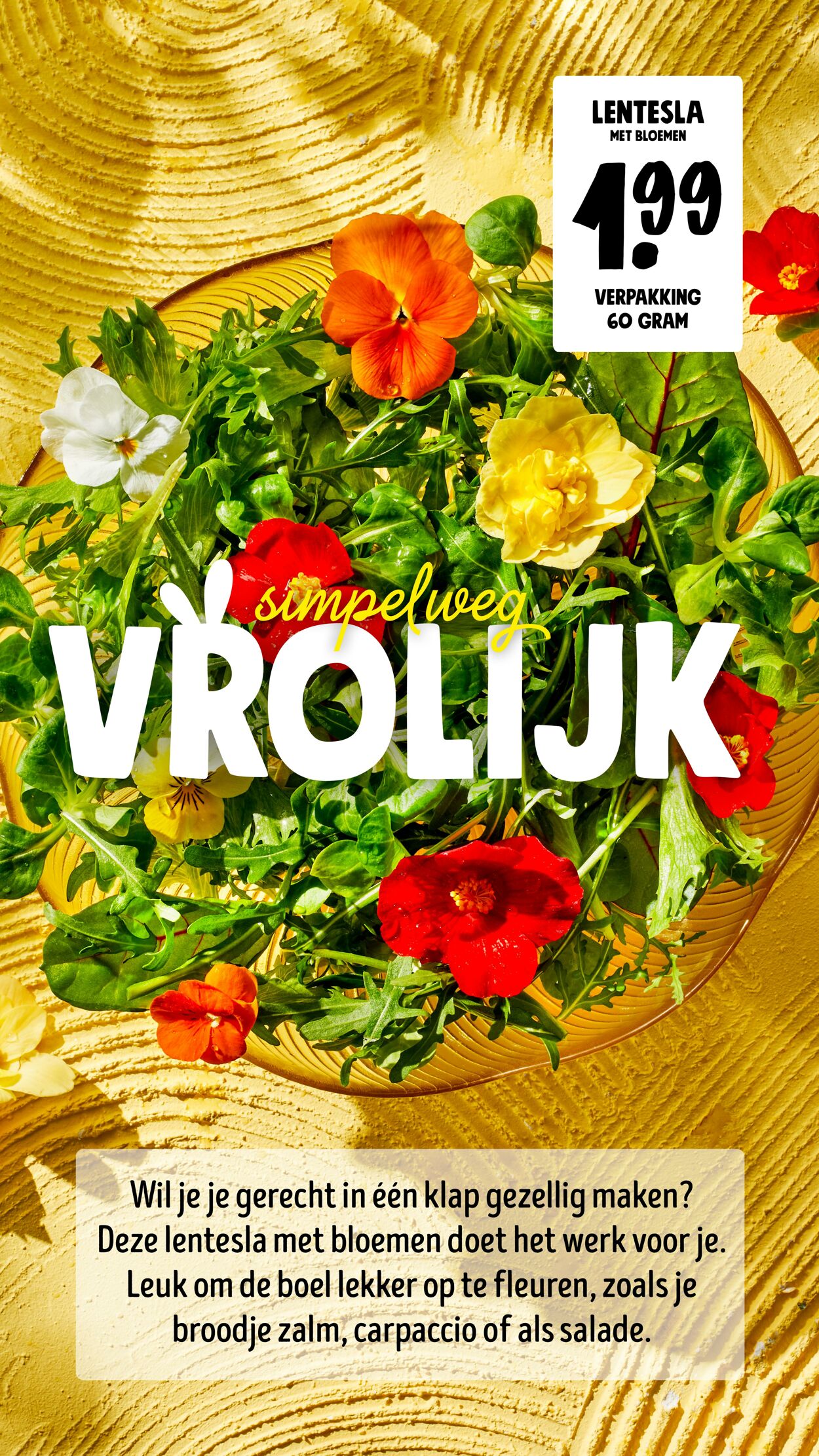 Folder Jumbo 21.03.2026 - 29.03.2026