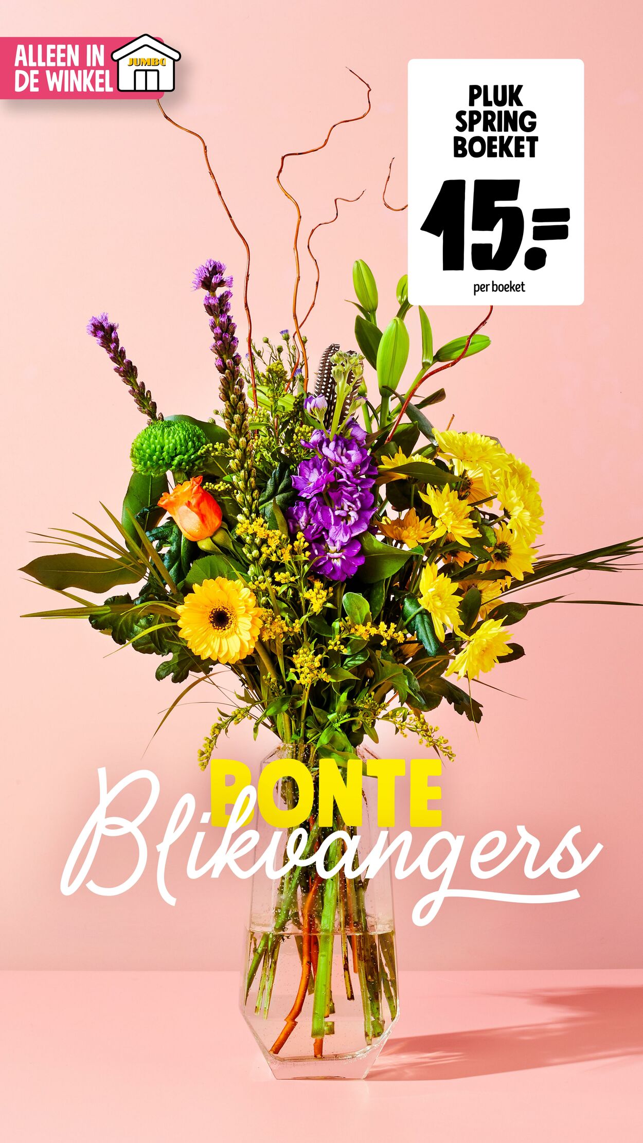 Folder Jumbo 21.03.2026 - 29.03.2026