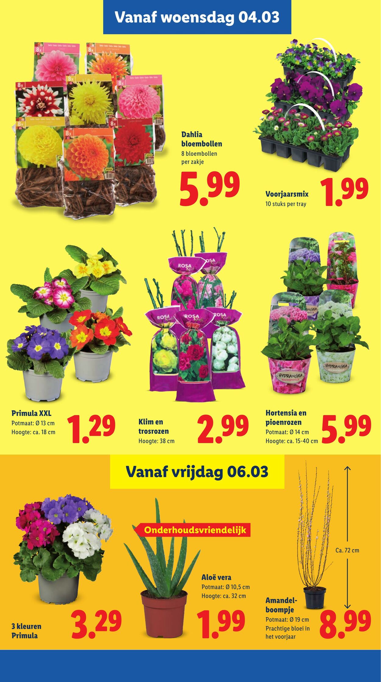 Folder Lidl 02.03.2026 - 08.03.2026
