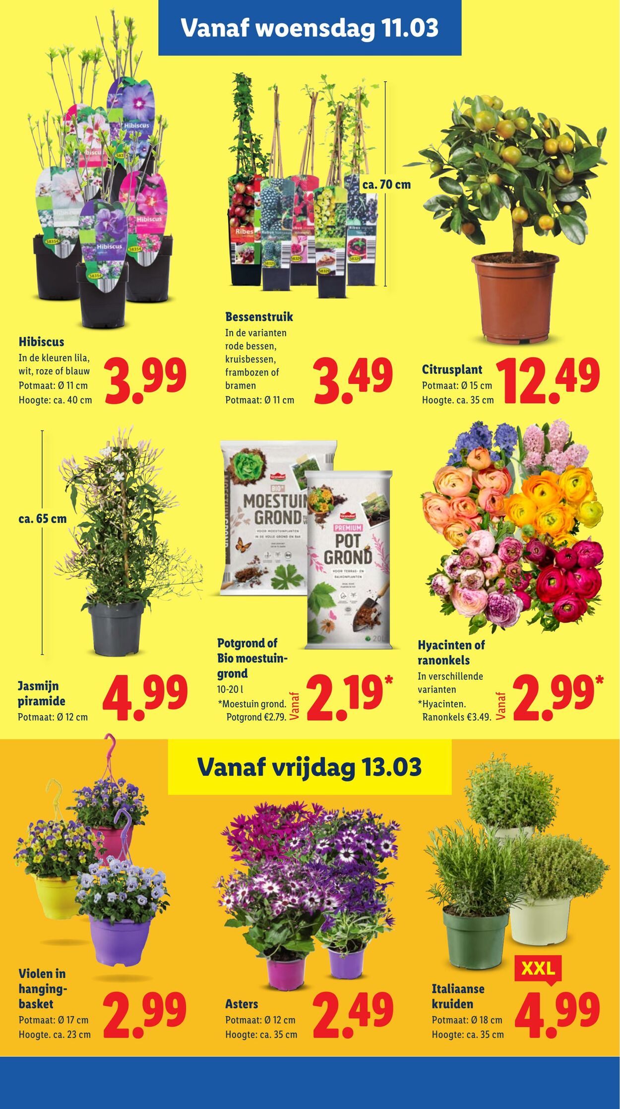 Folder Lidl 09.03.2026 - 15.03.2026