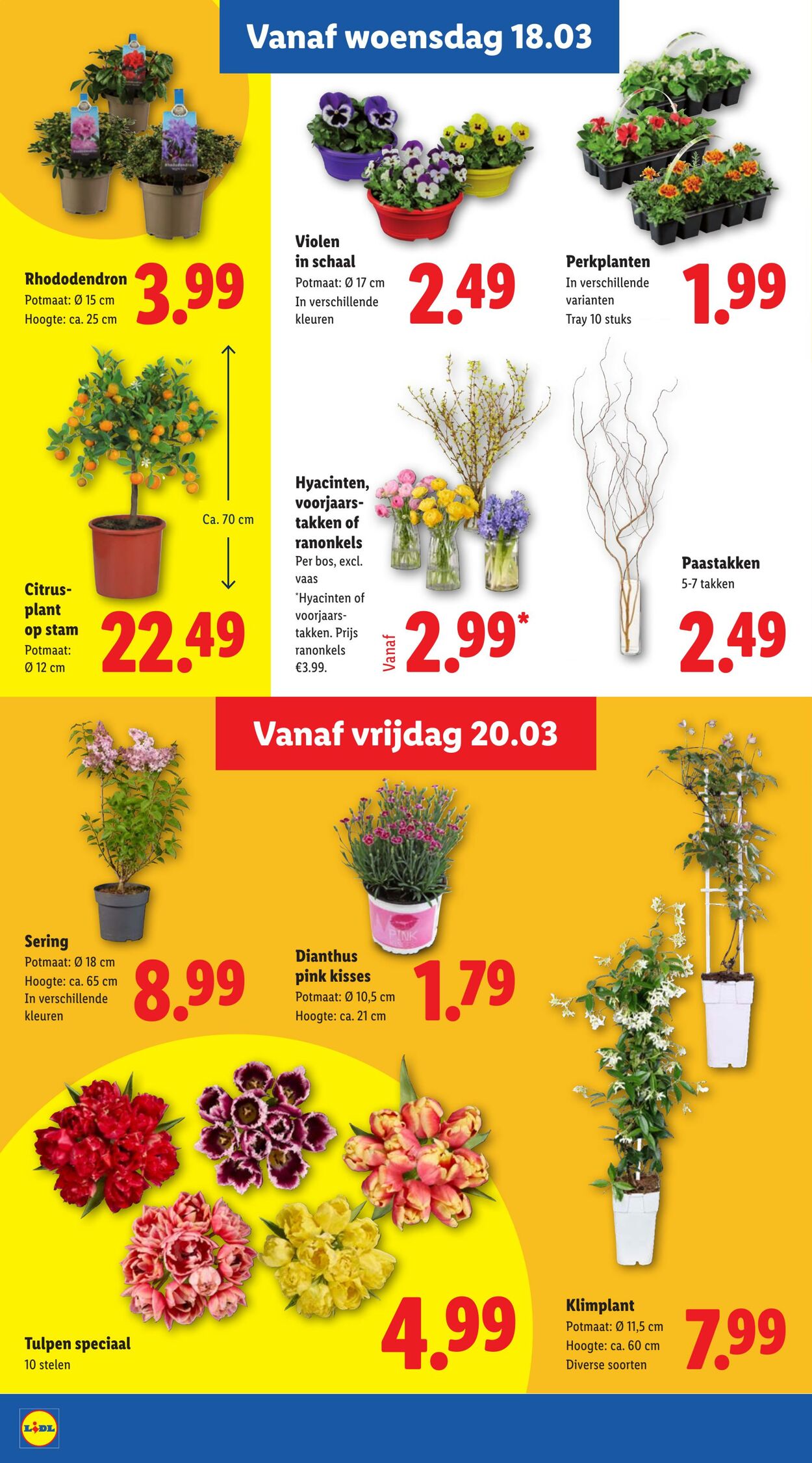 Folder Lidl 16.03.2026 - 22.03.2026