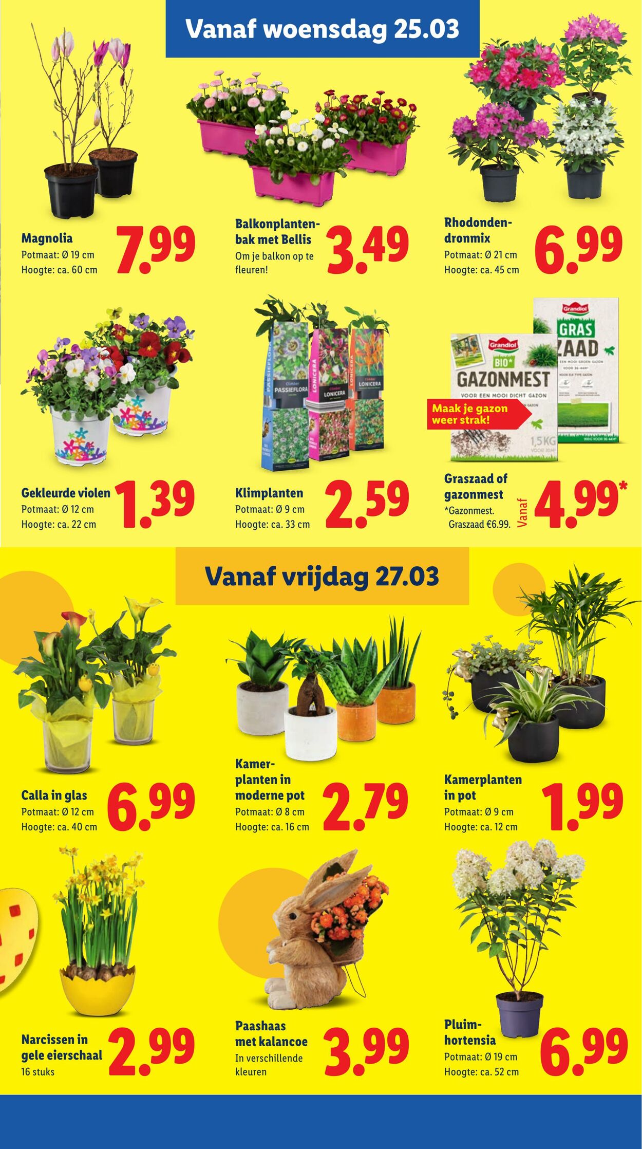 Folder Lidl 23.03.2026 - 29.03.2026