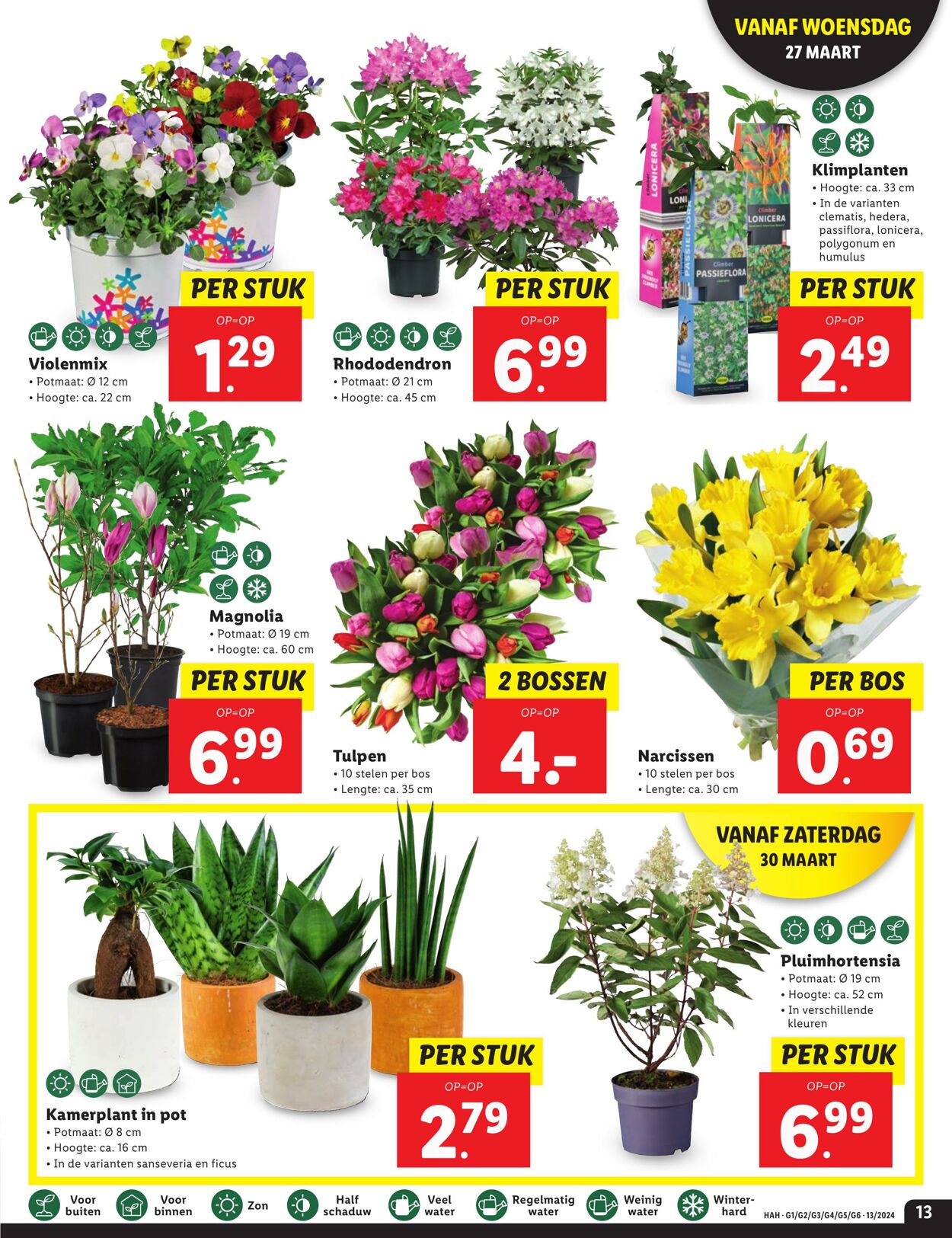 Folder Lidl 25.03.2024 - 01.04.2024