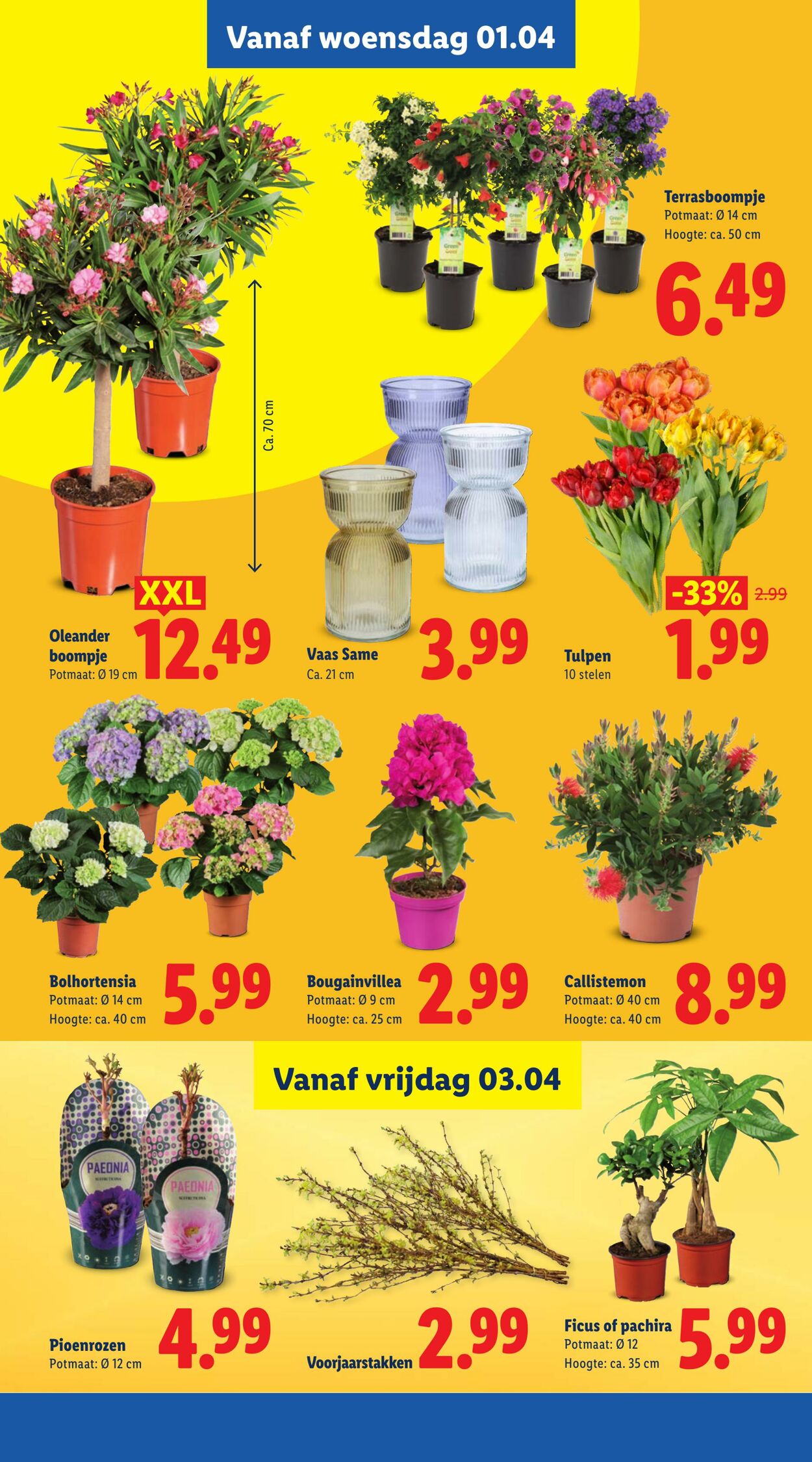 Folder Lidl 30.03.2026 - 06.04.2026