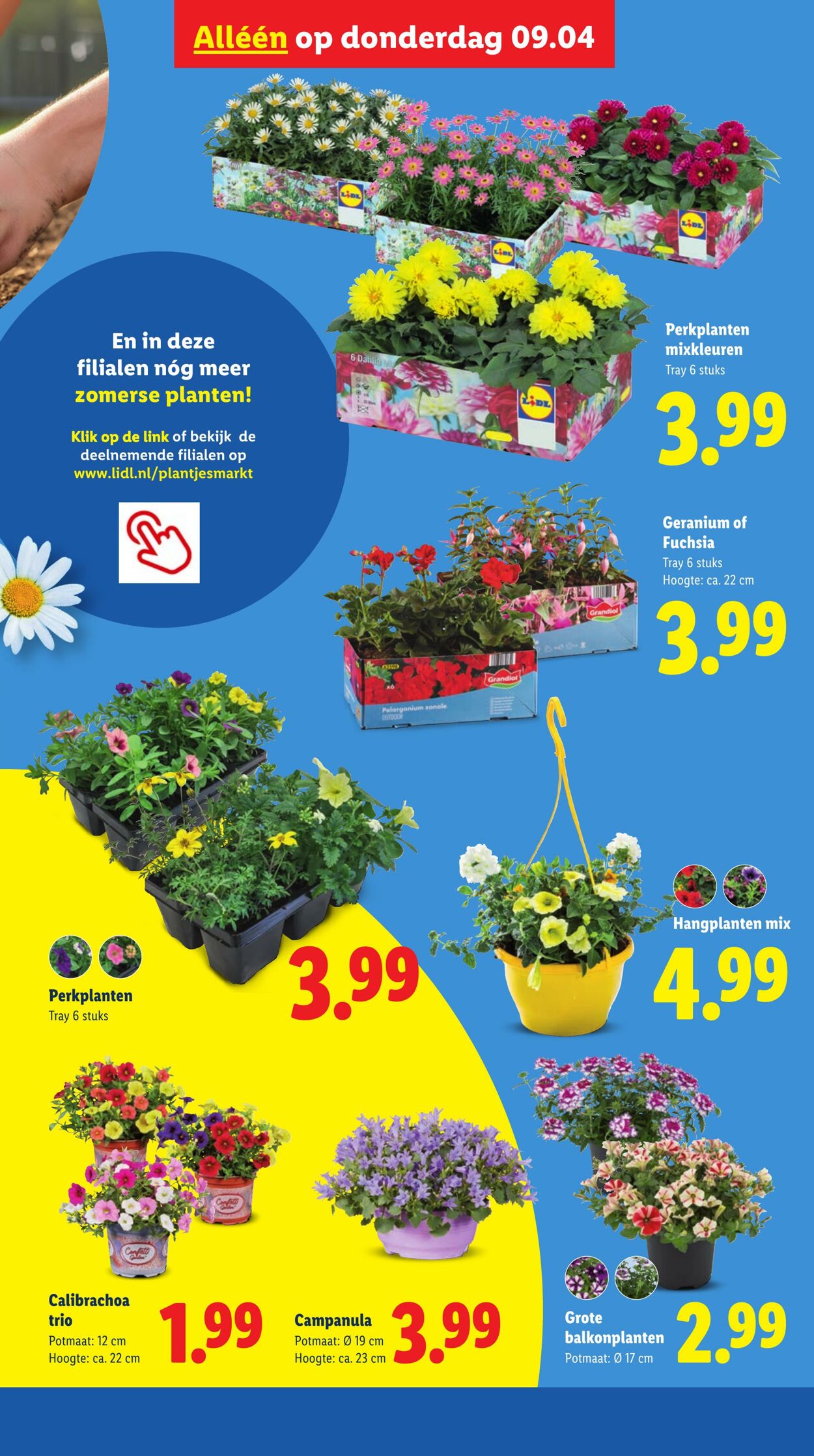 Folder Lidl 06.04.2026 - 12.04.2026