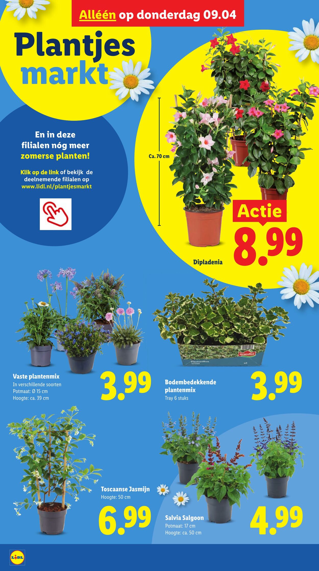 Folder Lidl 06.04.2026 - 12.04.2026