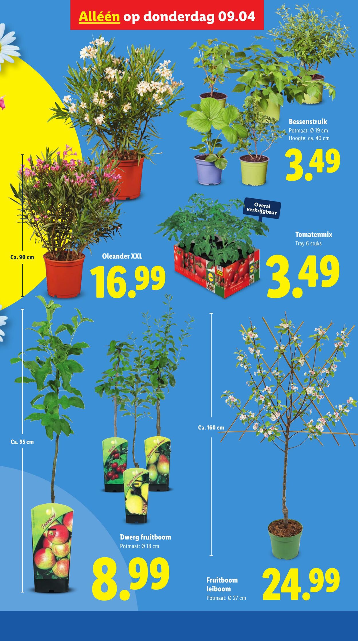 Folder Lidl 06.04.2026 - 12.04.2026
