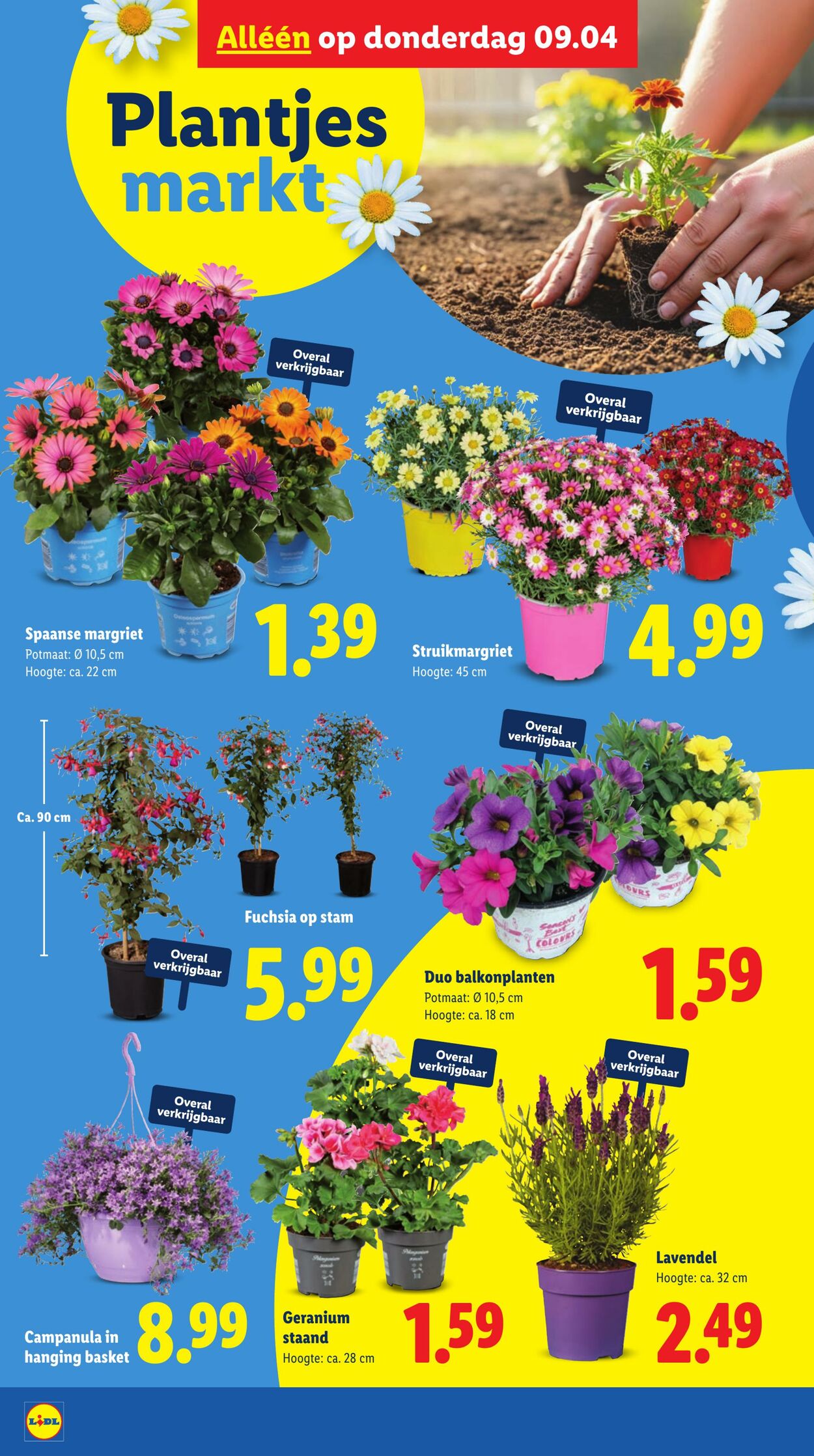 Folder Lidl 06.04.2026 - 12.04.2026