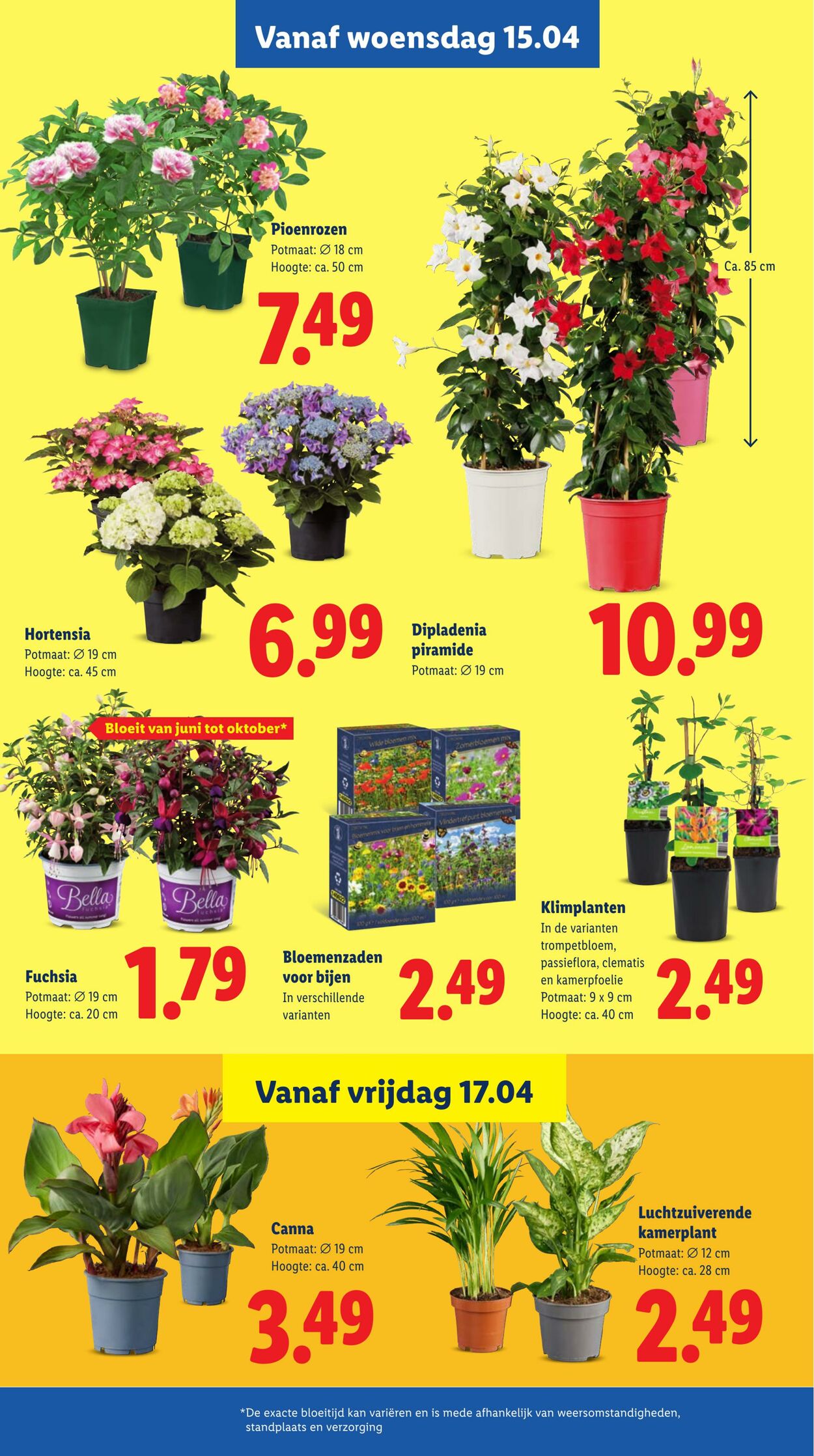 Folder Lidl 13.04.2026 - 19.04.2026