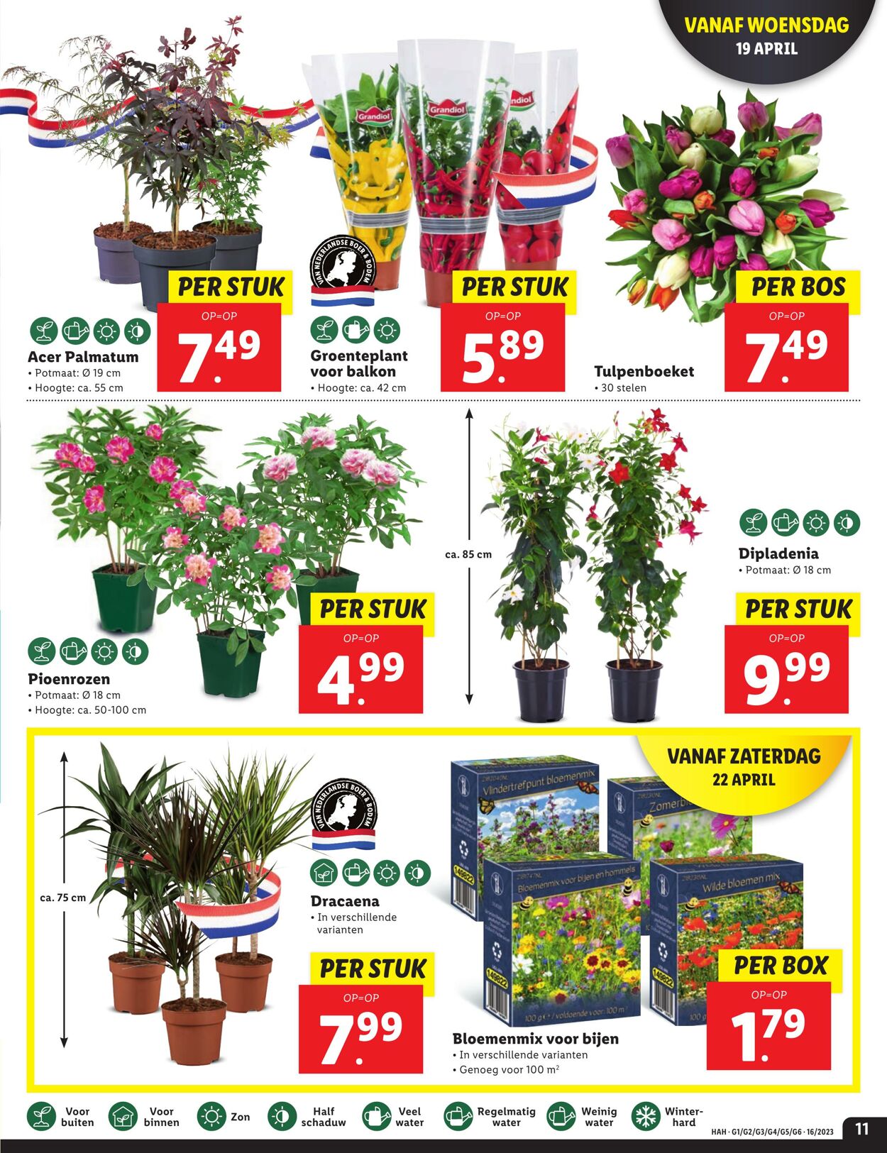 Folder Lidl 17.04.2023 - 23.04.2023