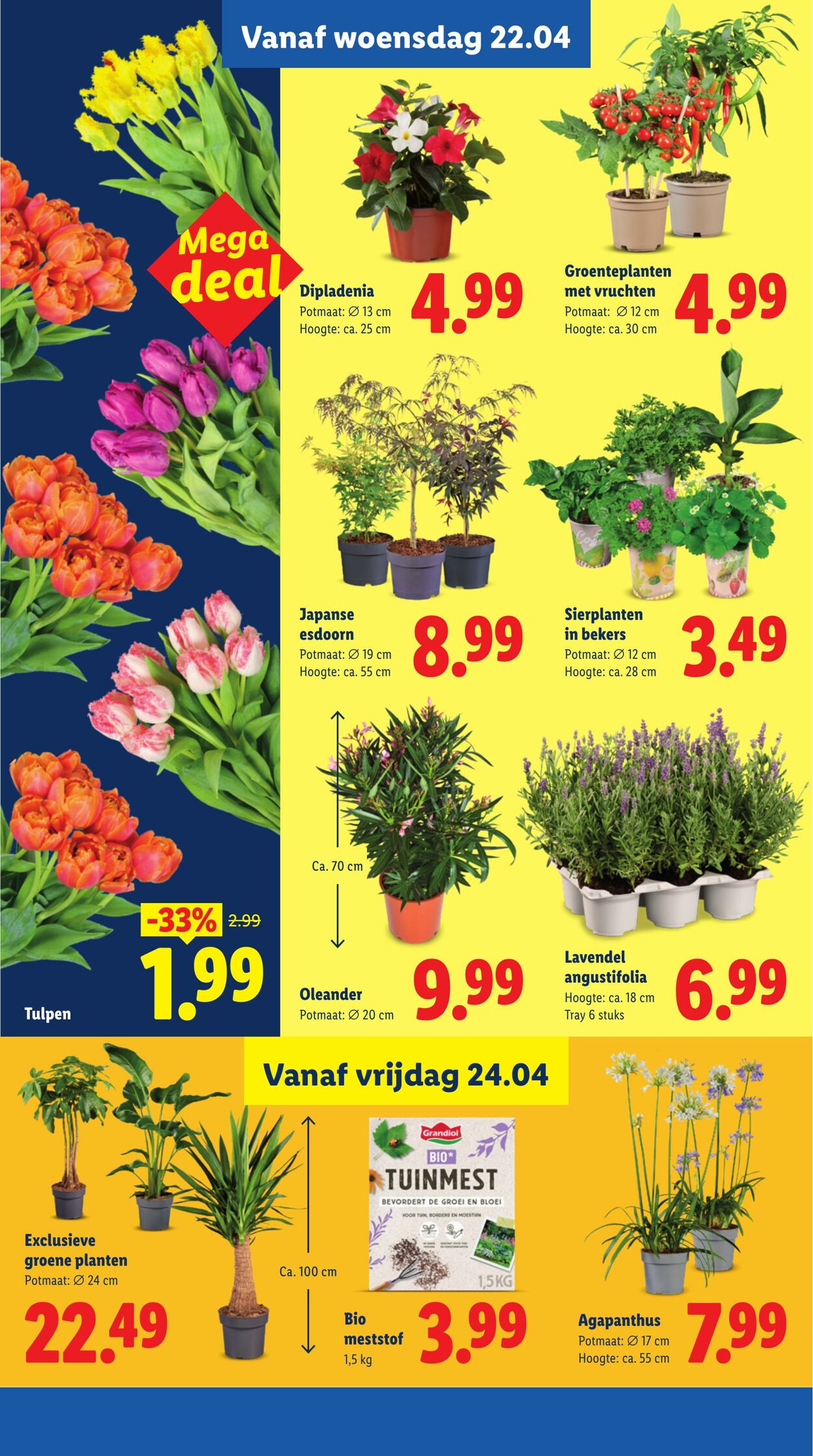 Folder Lidl 20.04.2026 - 26.04.2026