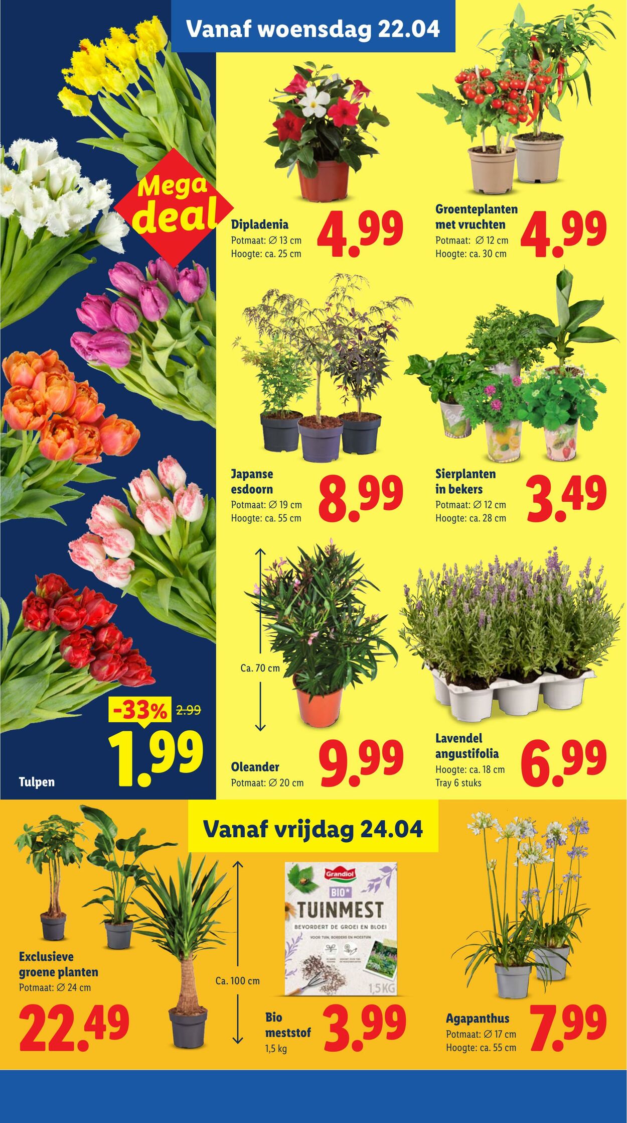 Folder Lidl 20.04.2026 - 26.04.2026