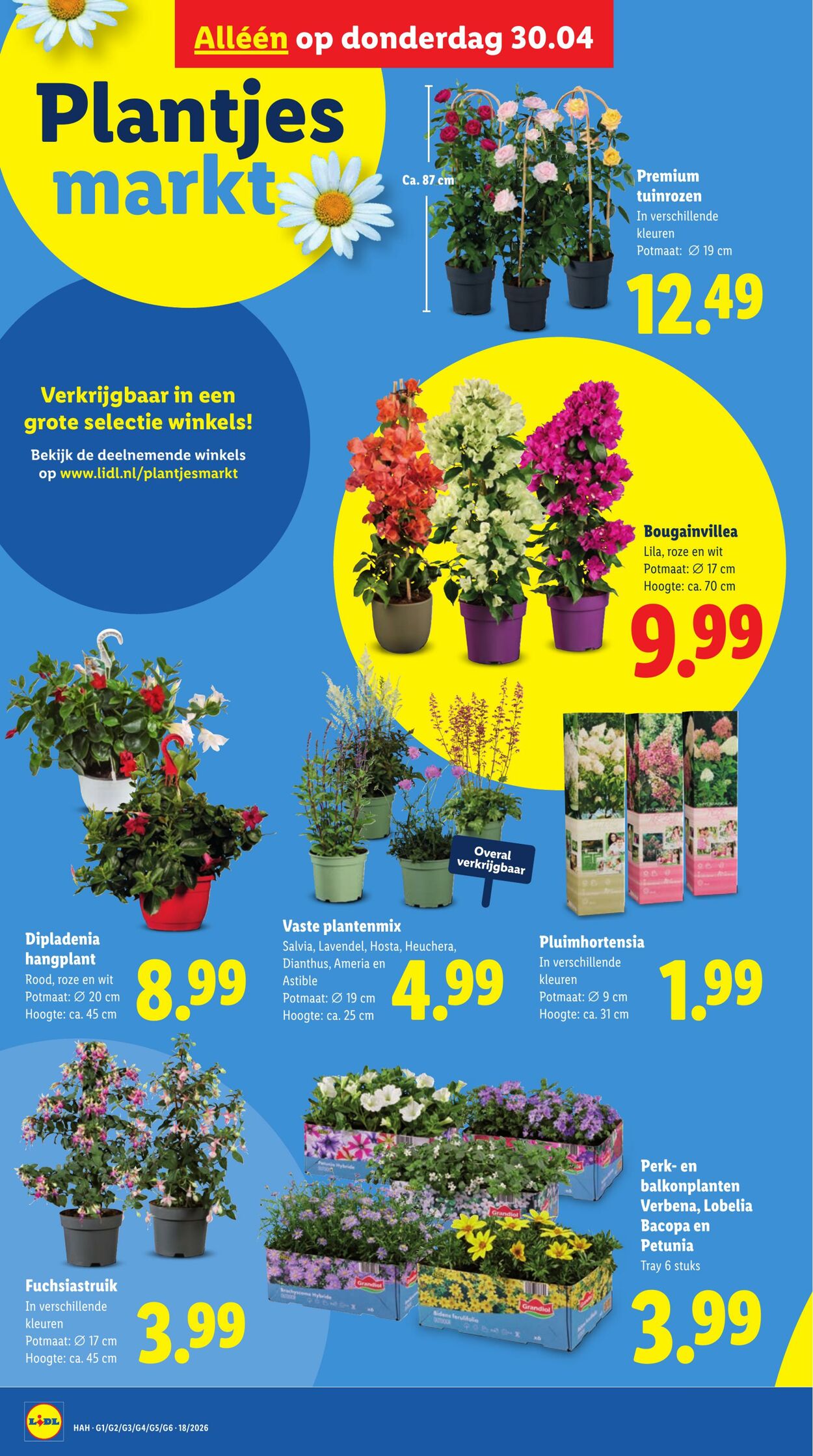 Folder Lidl 27.04.2026 - 03.05.2026