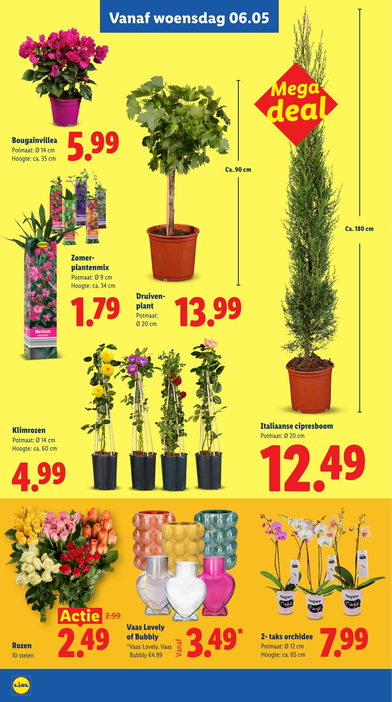 Folder Lidl 04.05.2026 - 10.05.2026